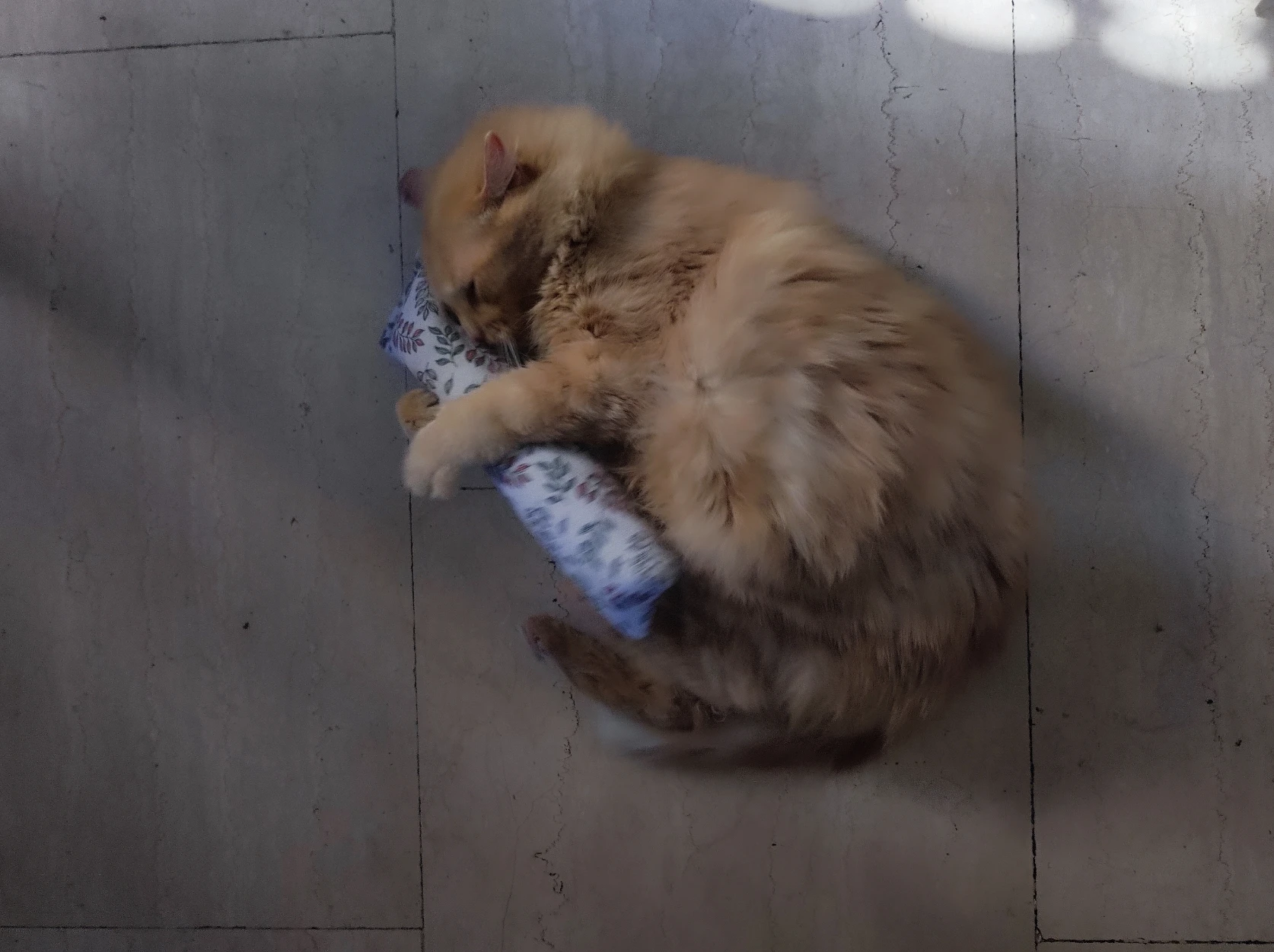 image-8