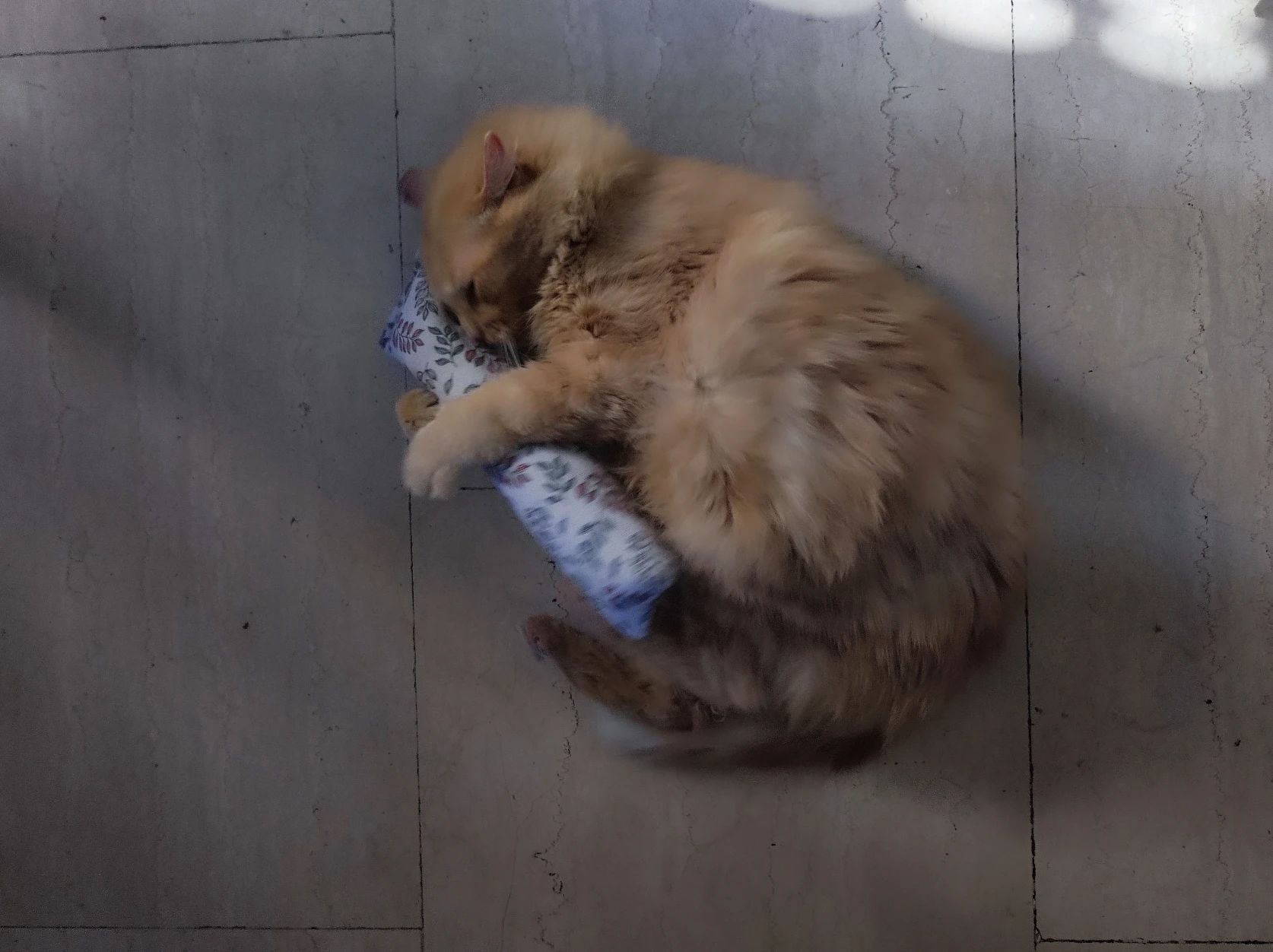 image-8