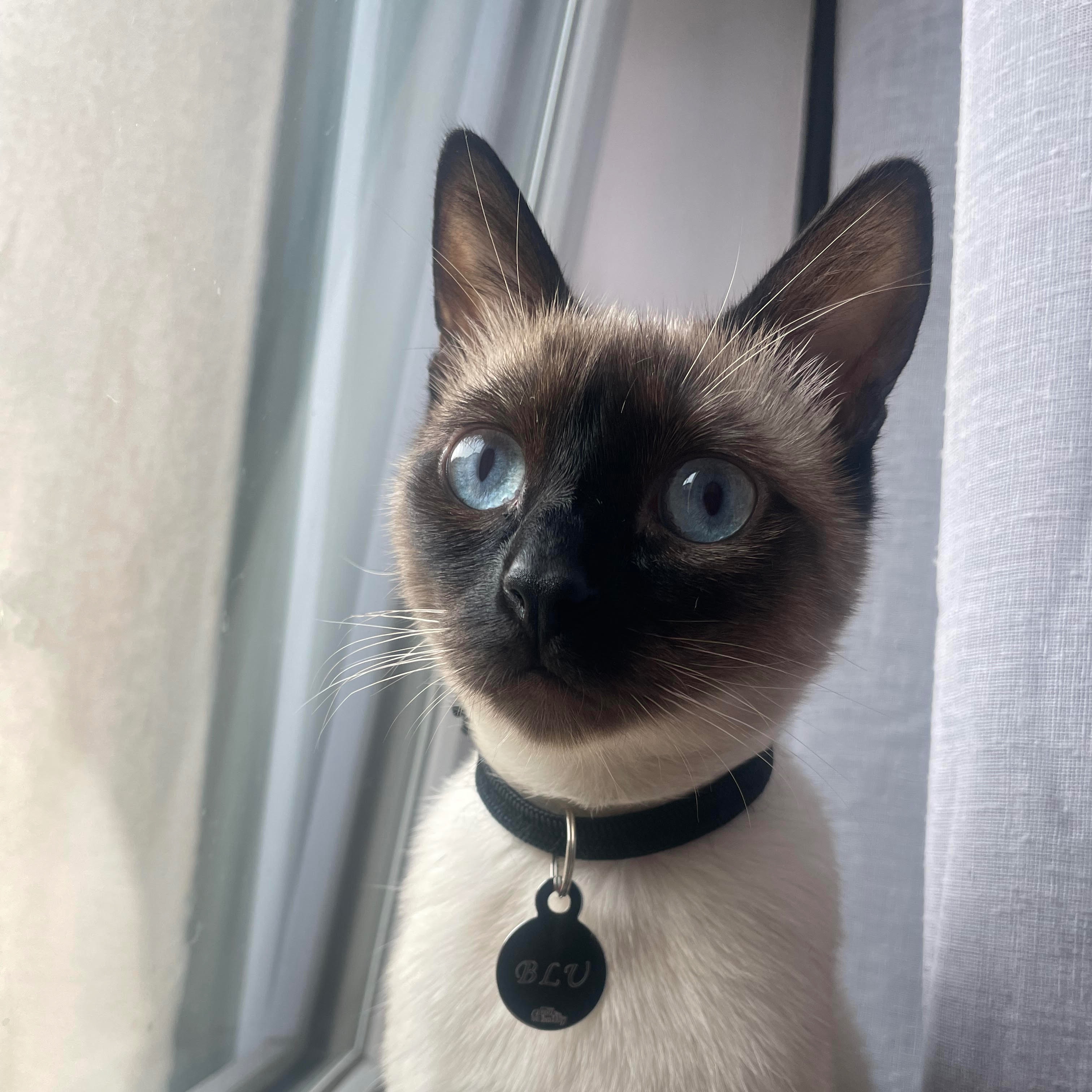 Blu