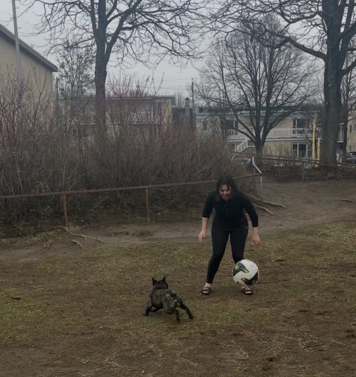 image-5