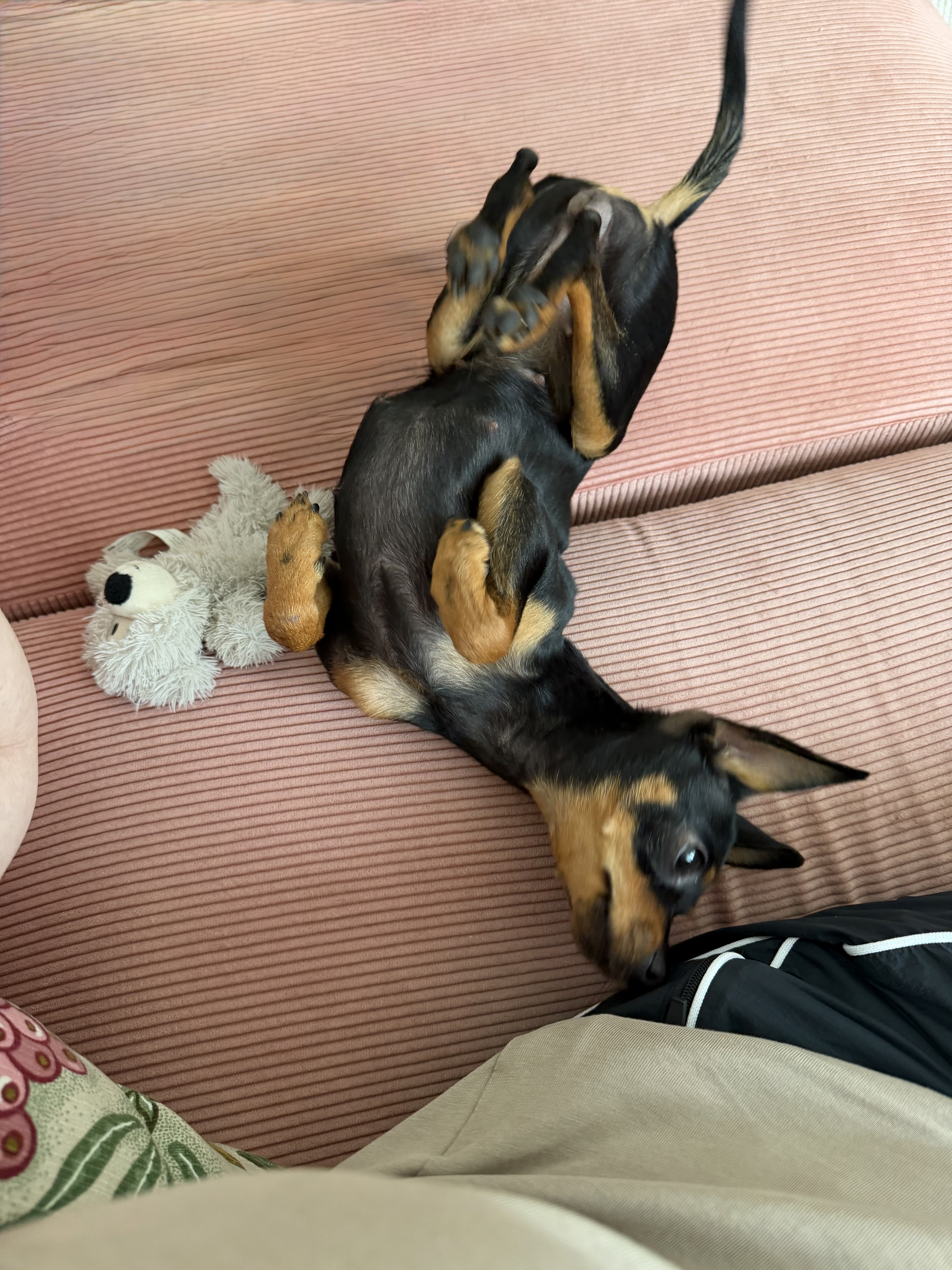 image-8