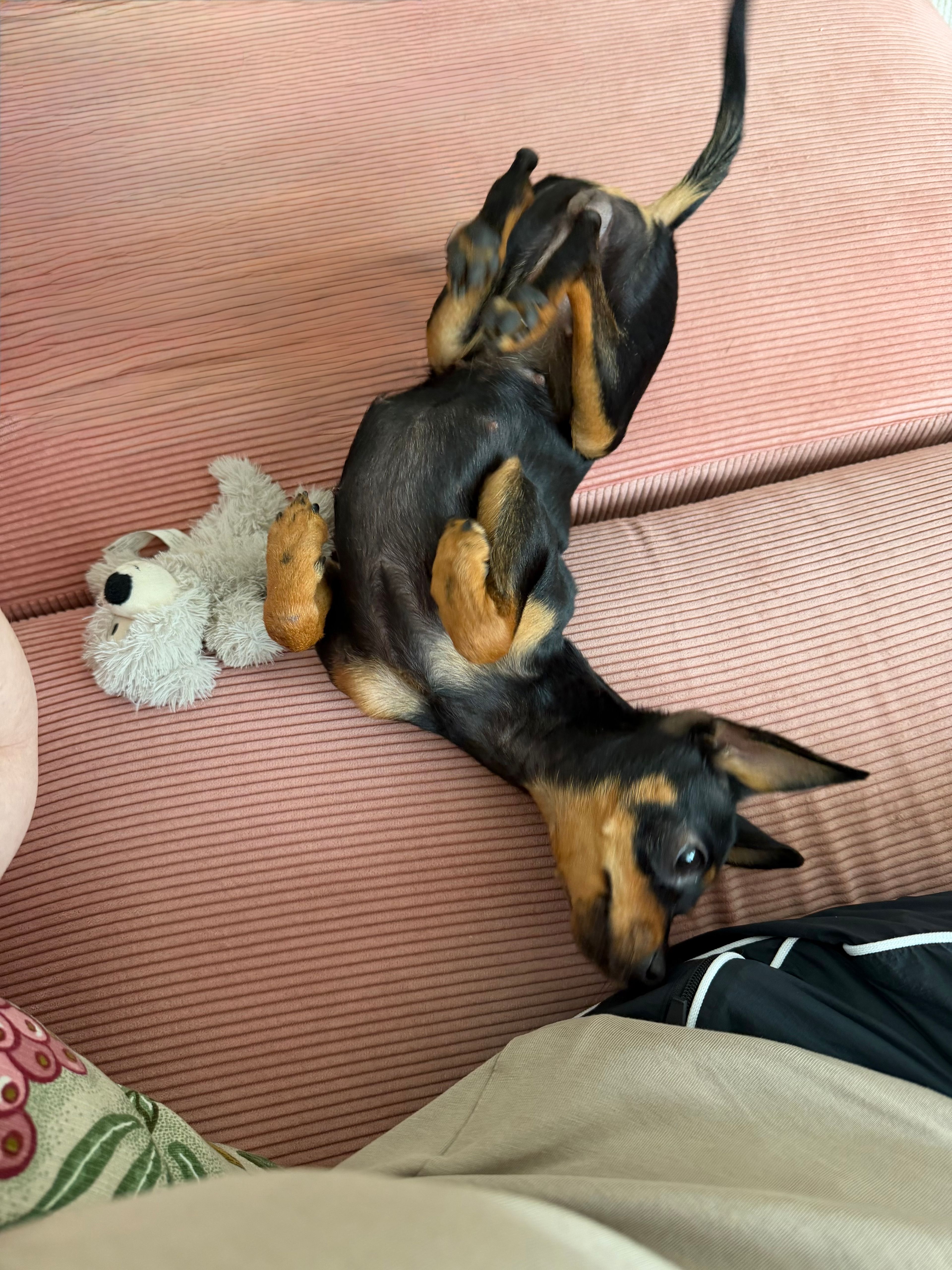 image-8