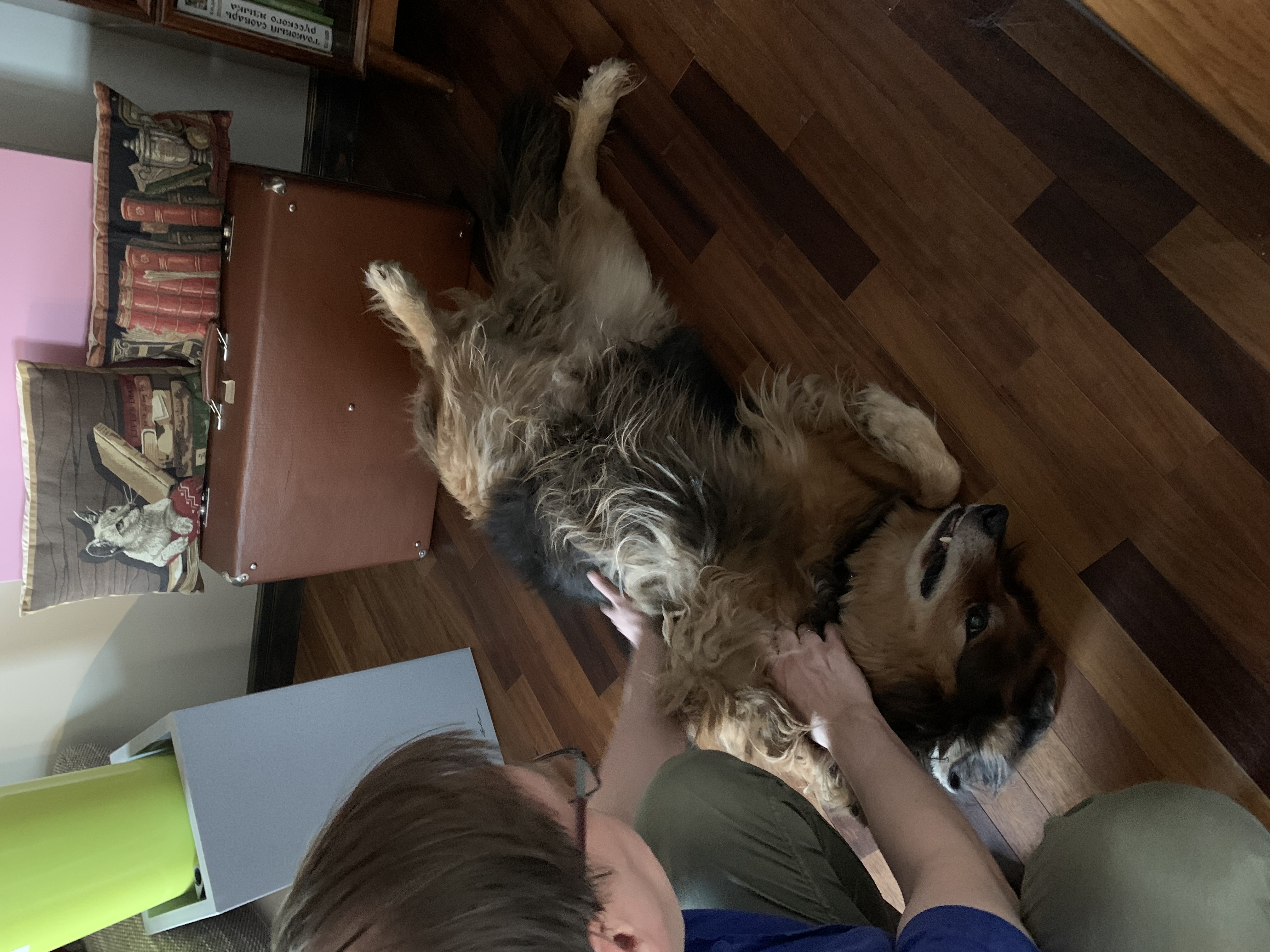 image-17