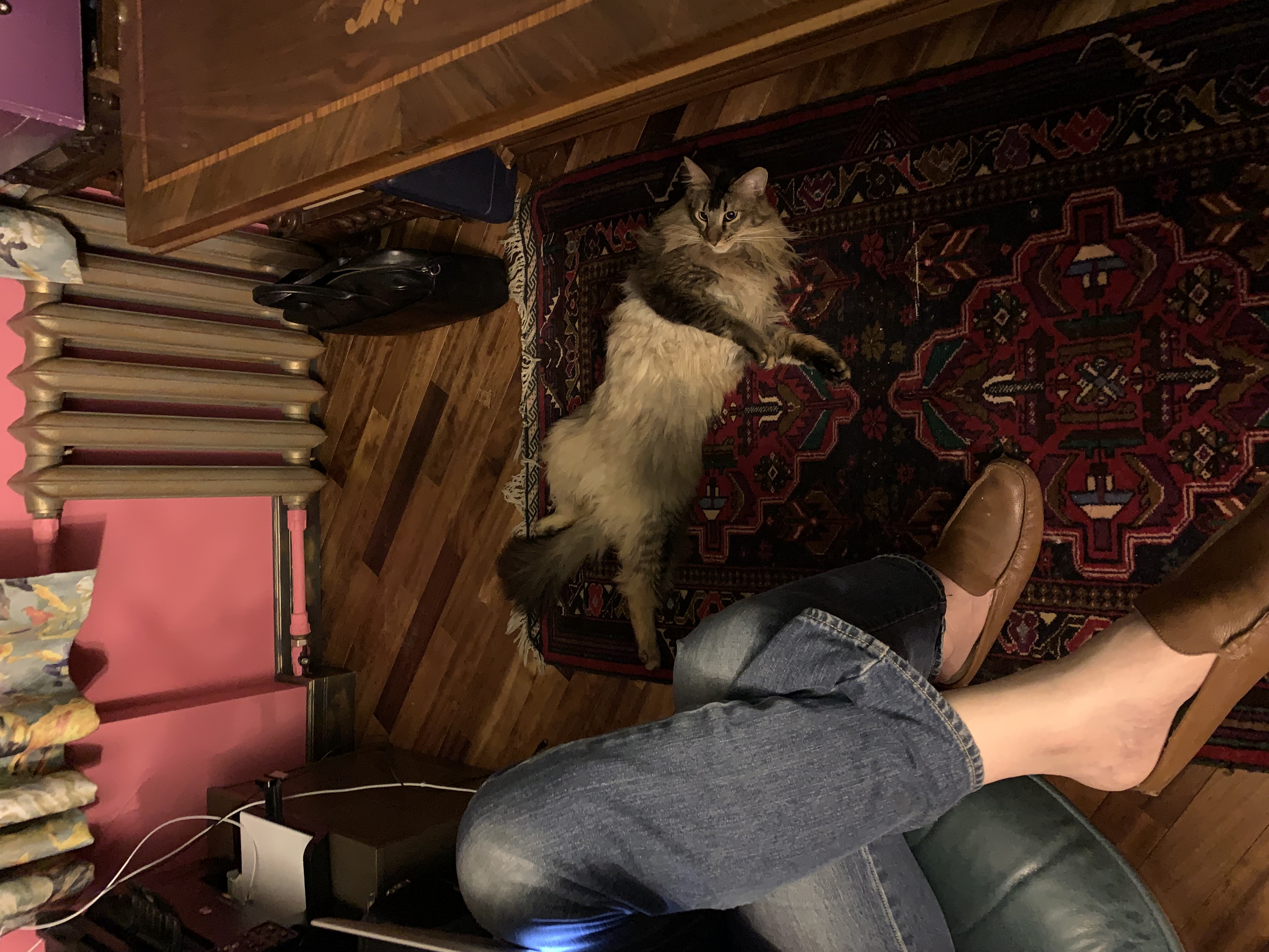 image-16