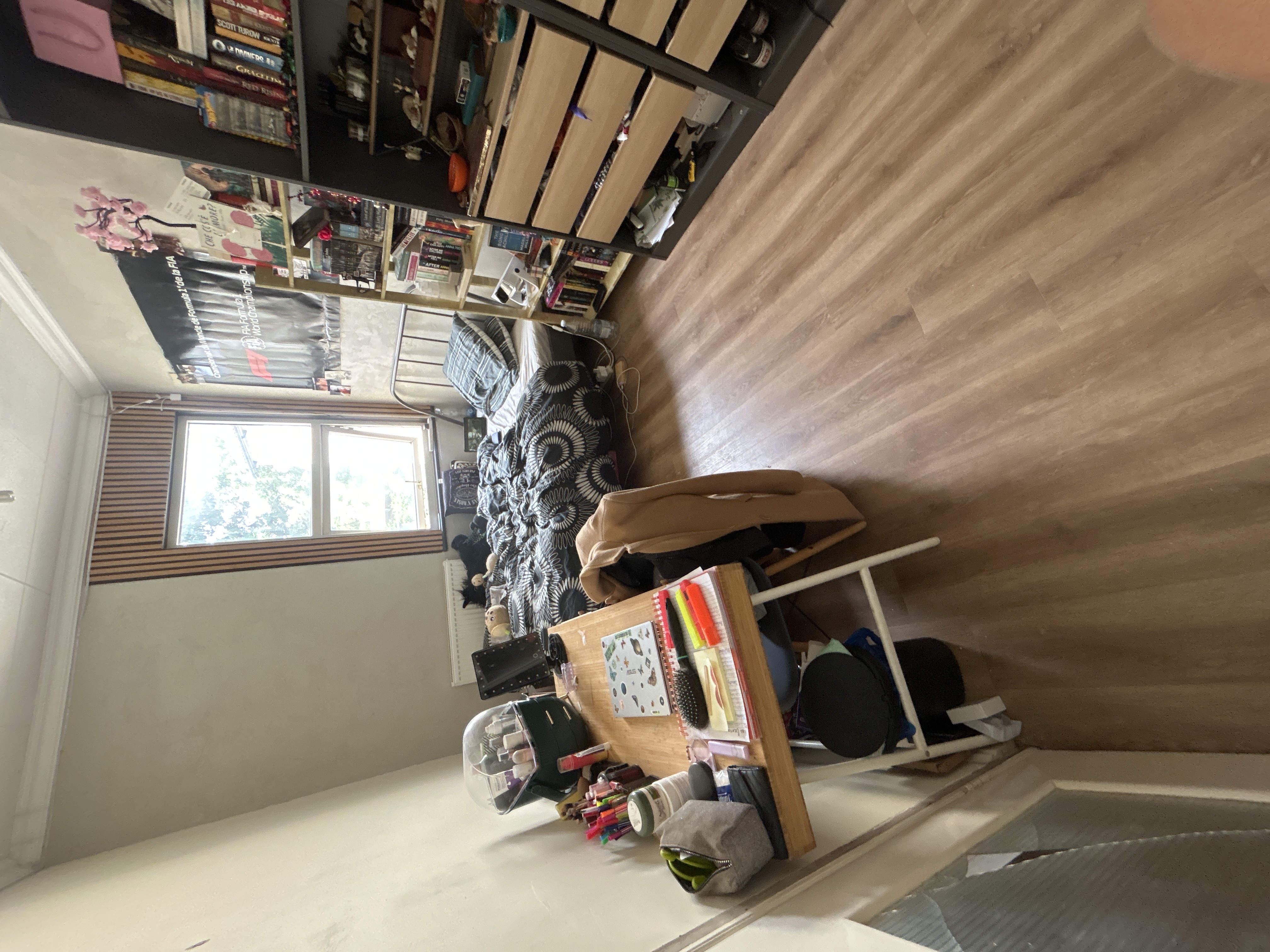 image-19