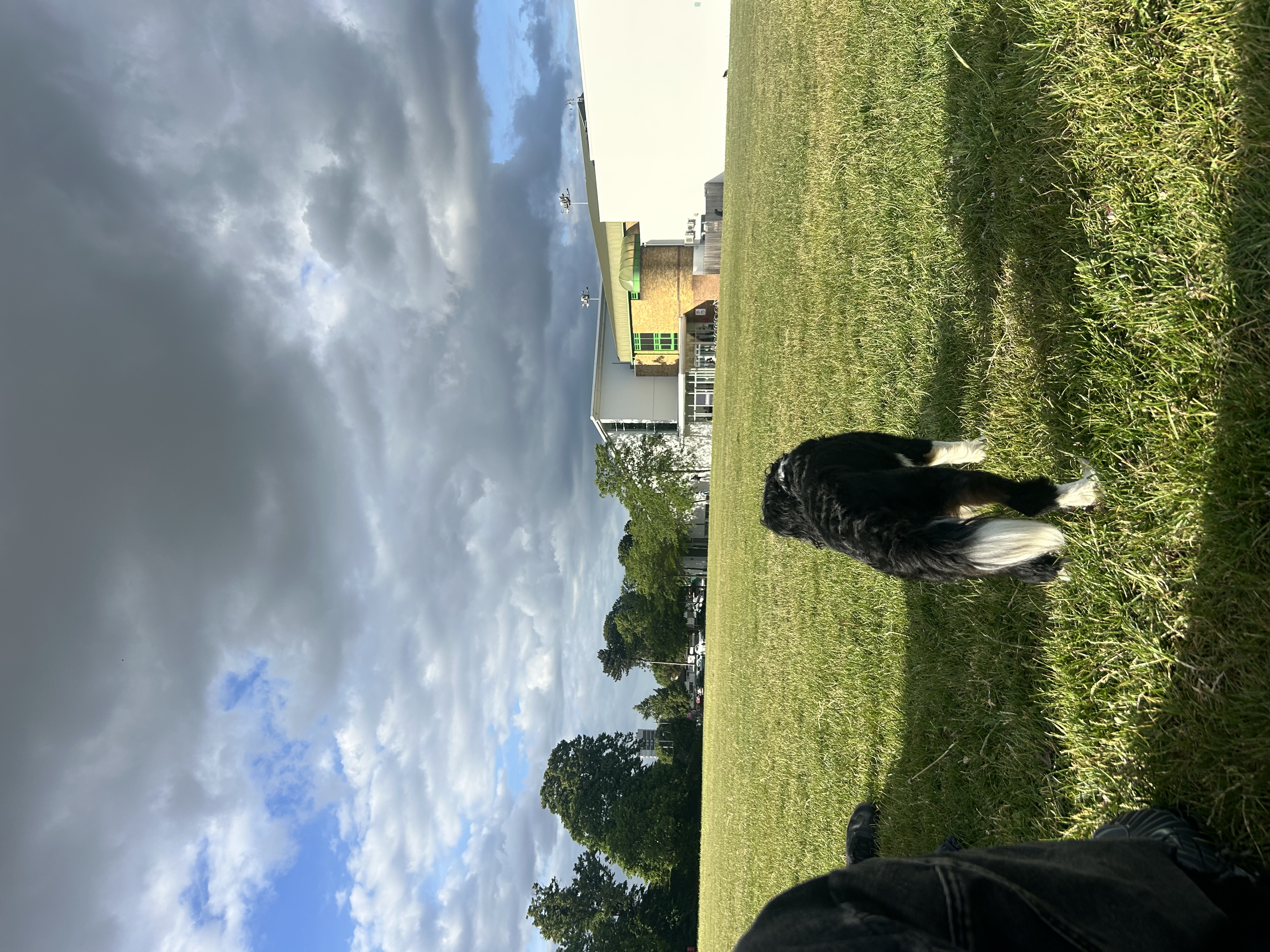 image-5