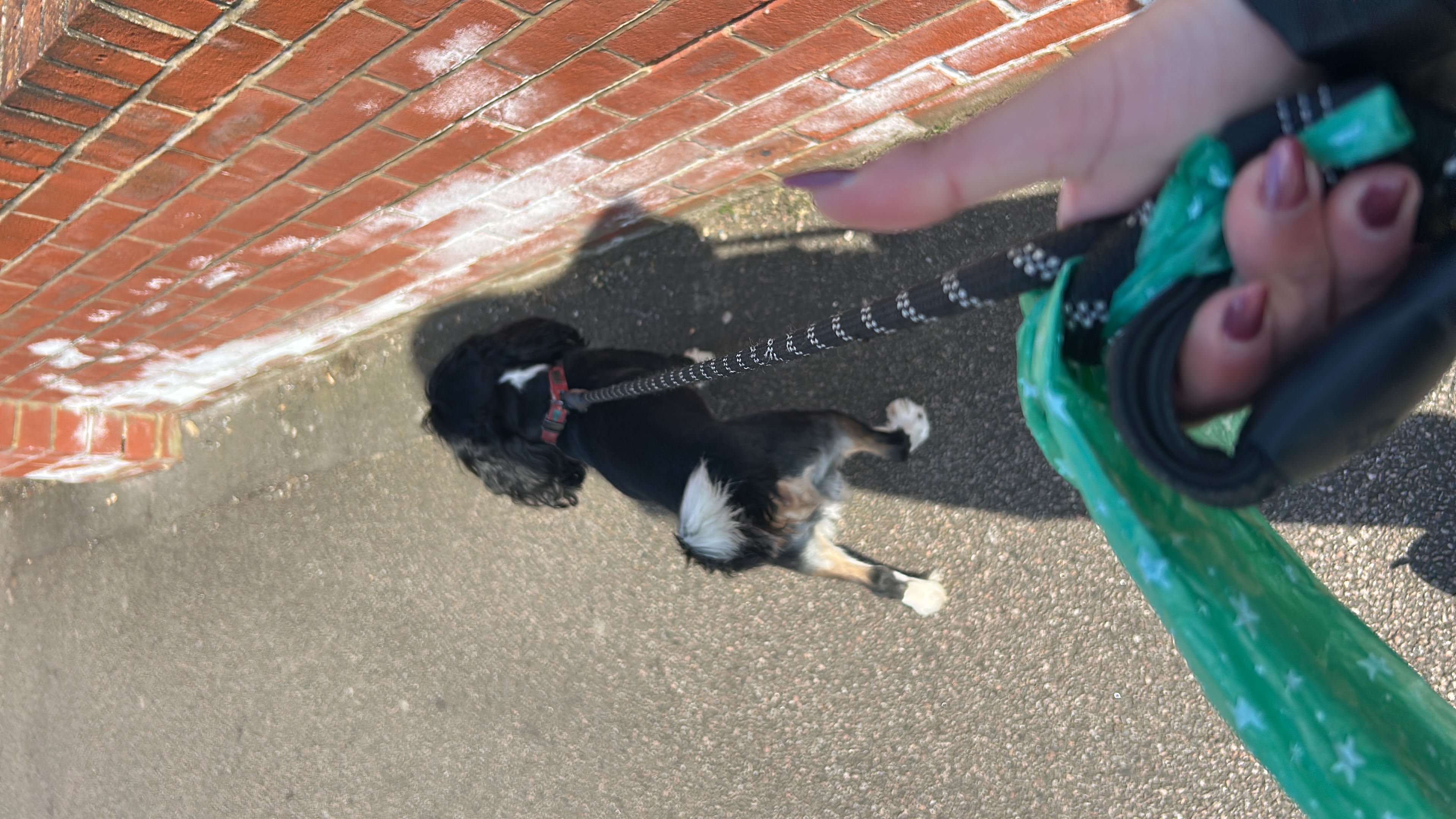 image-8