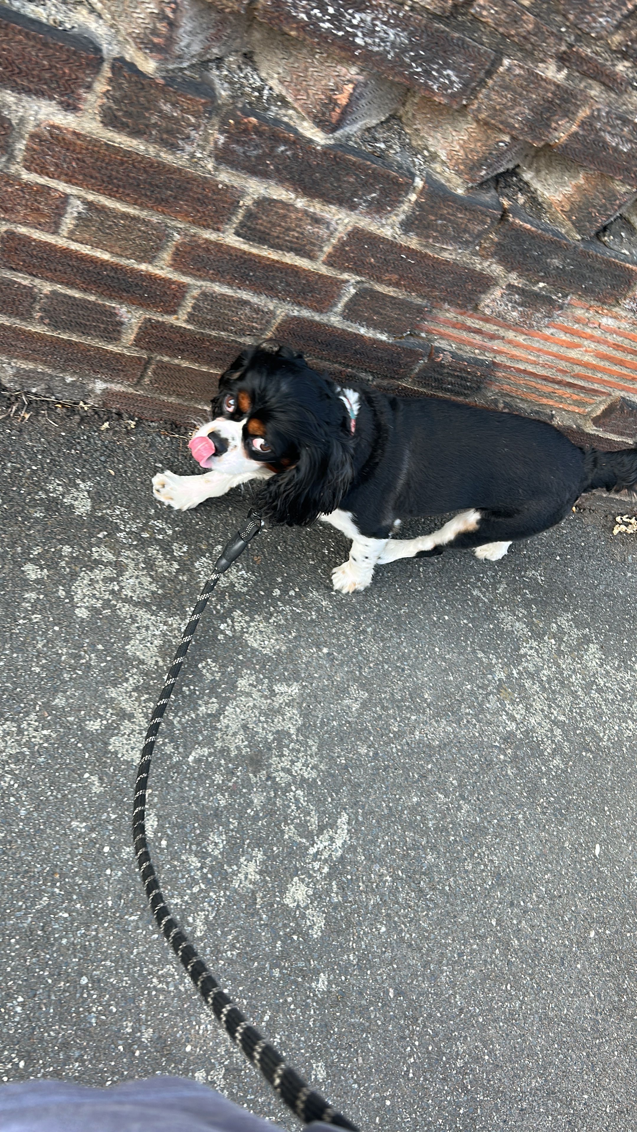 image-9