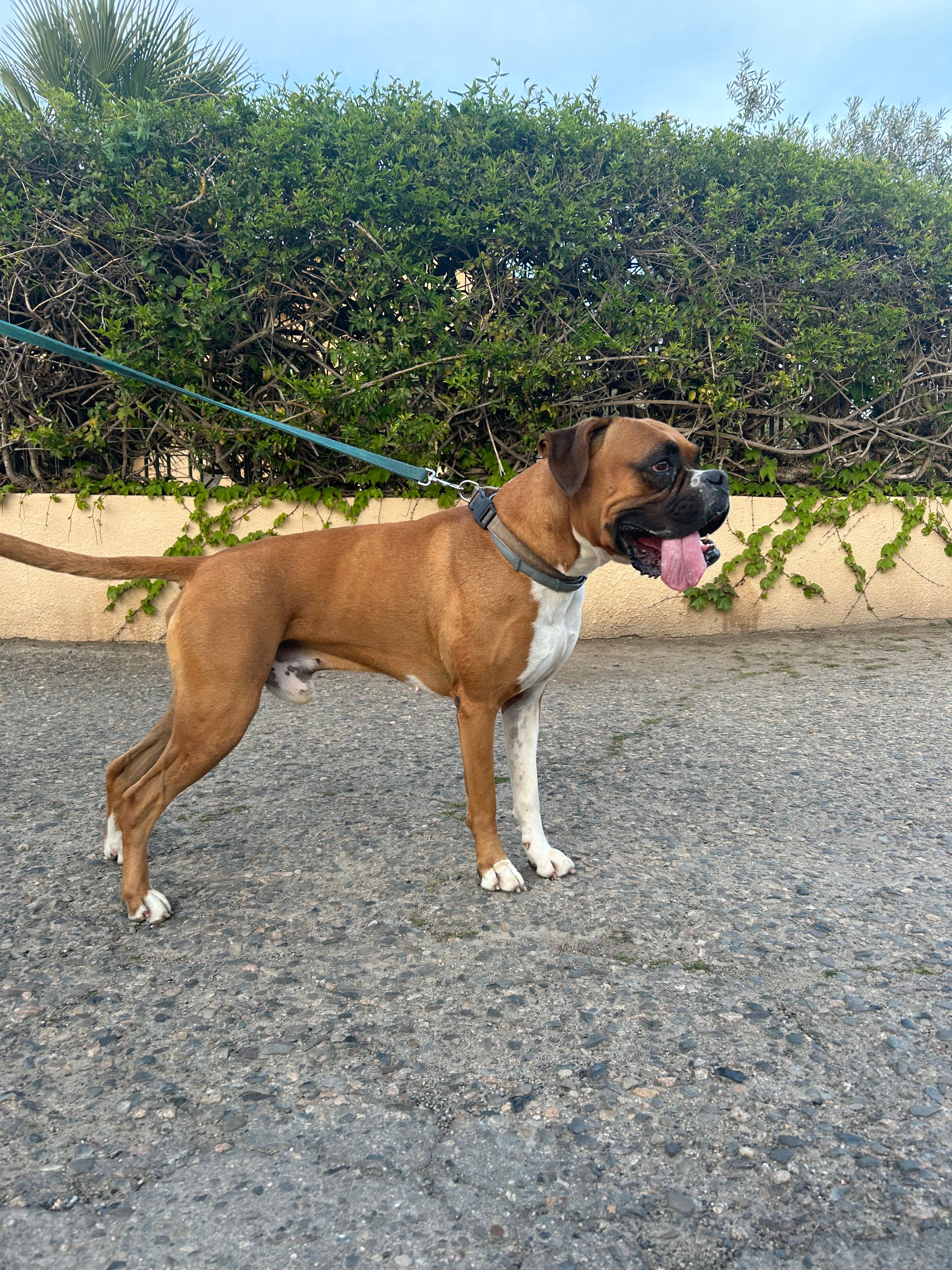 image-7