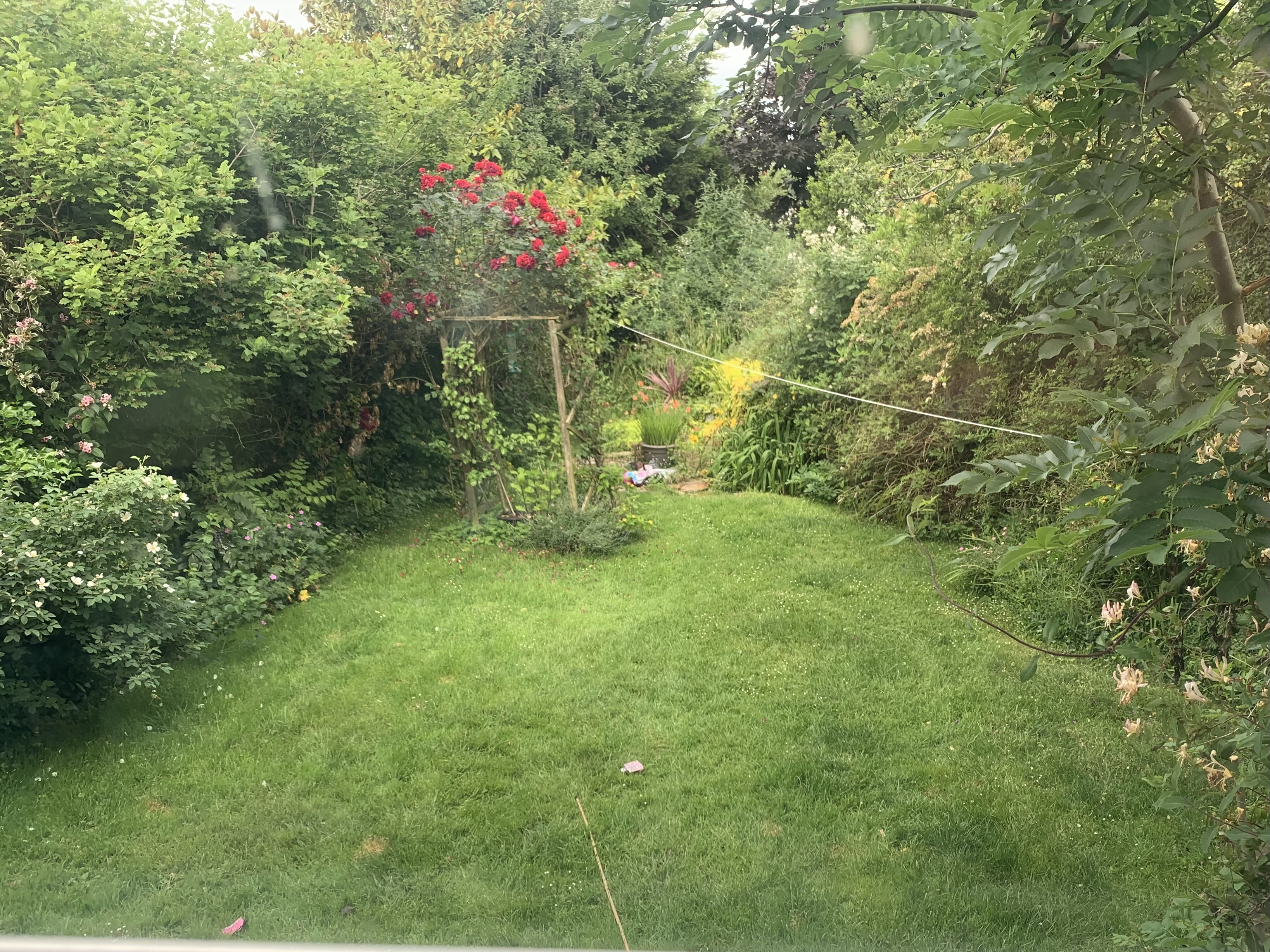 image-15