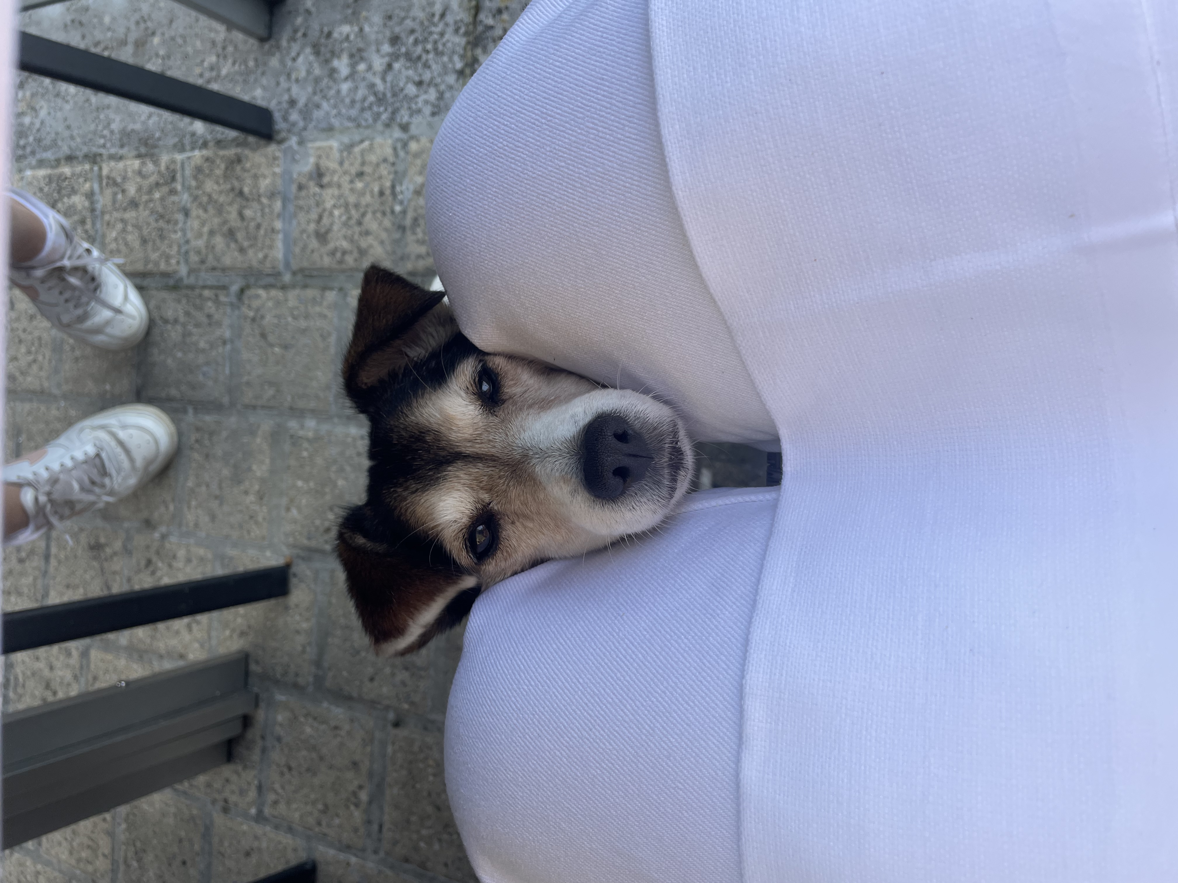 image-6