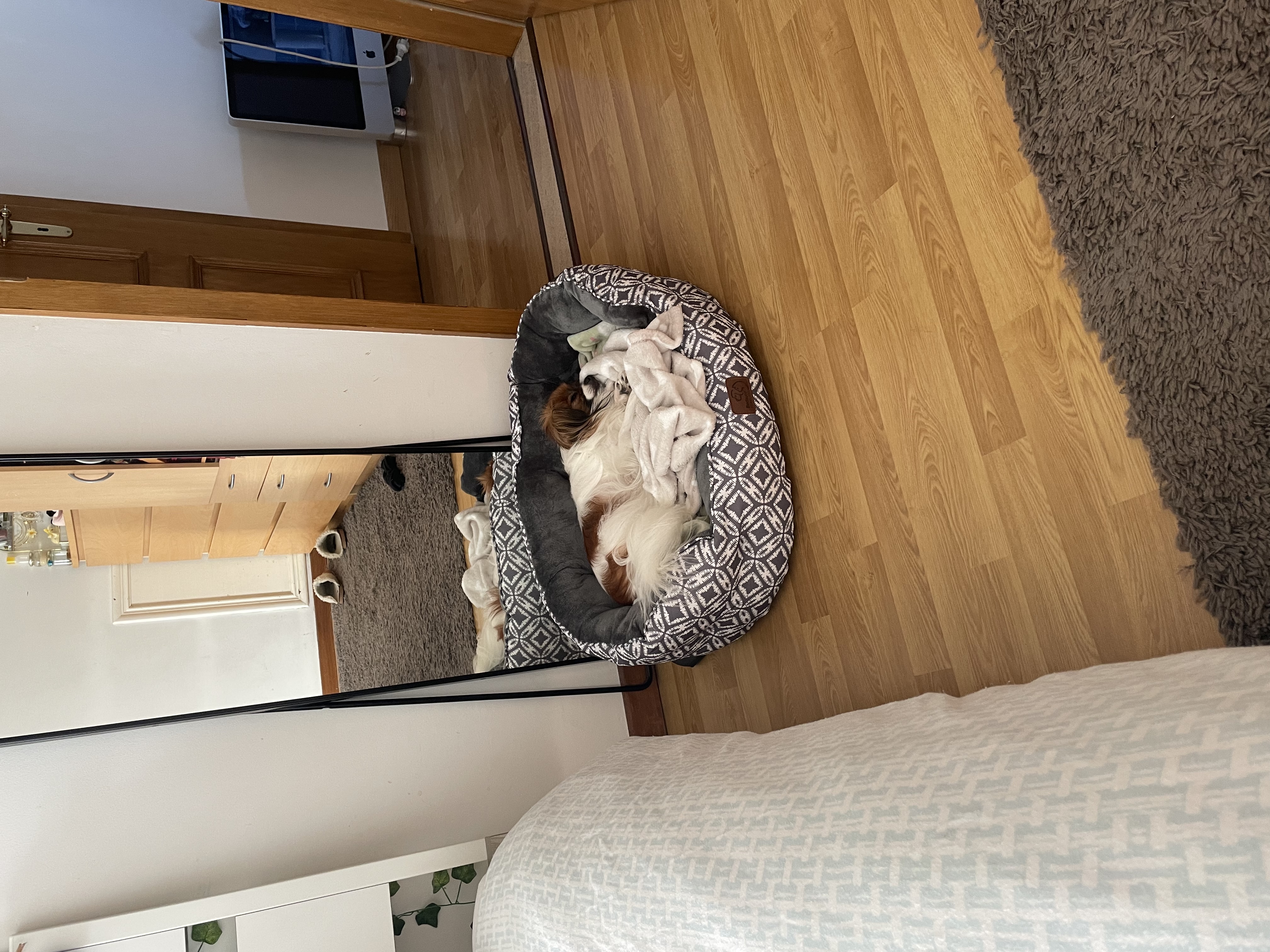image-12