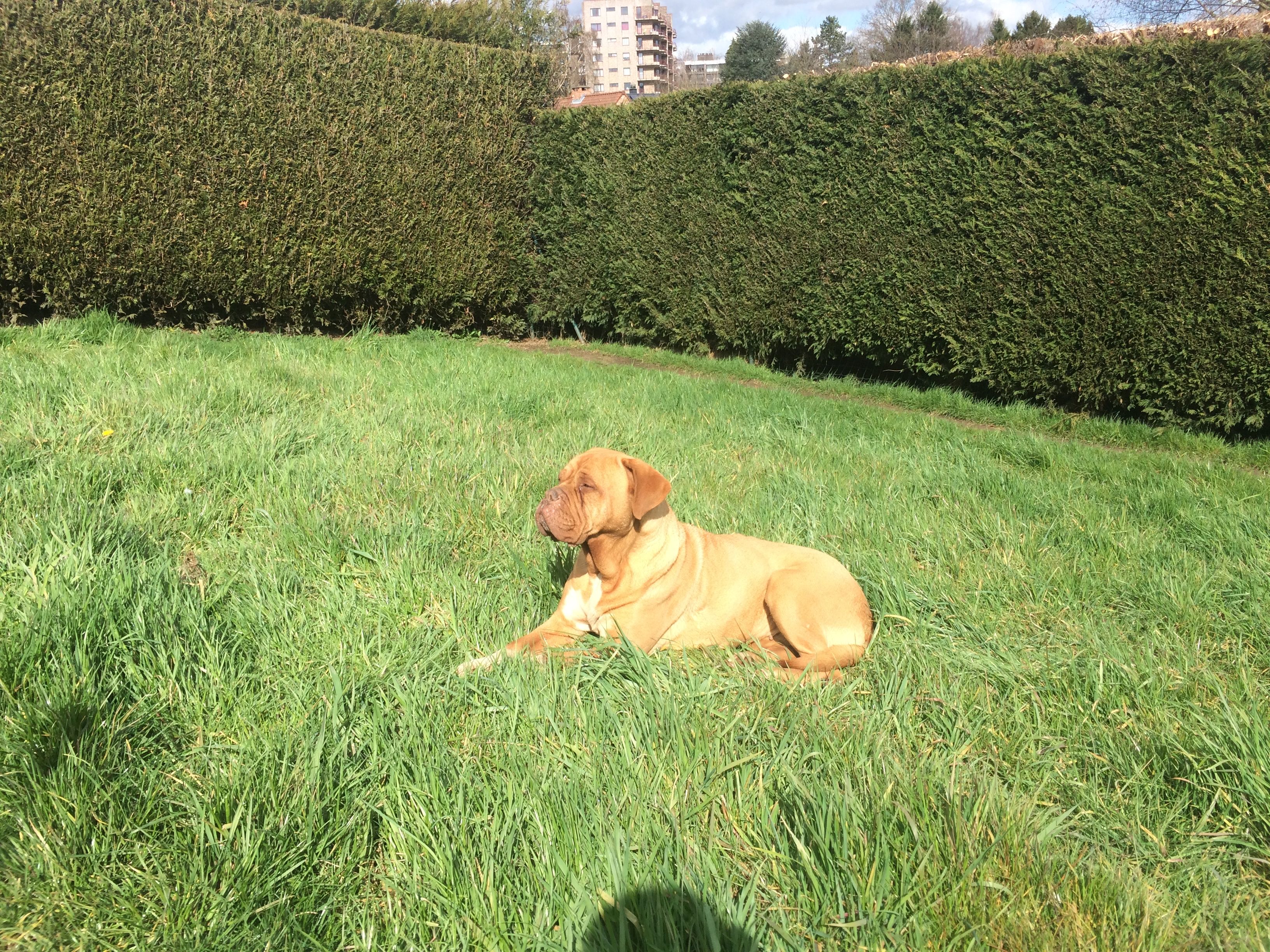 image-8
