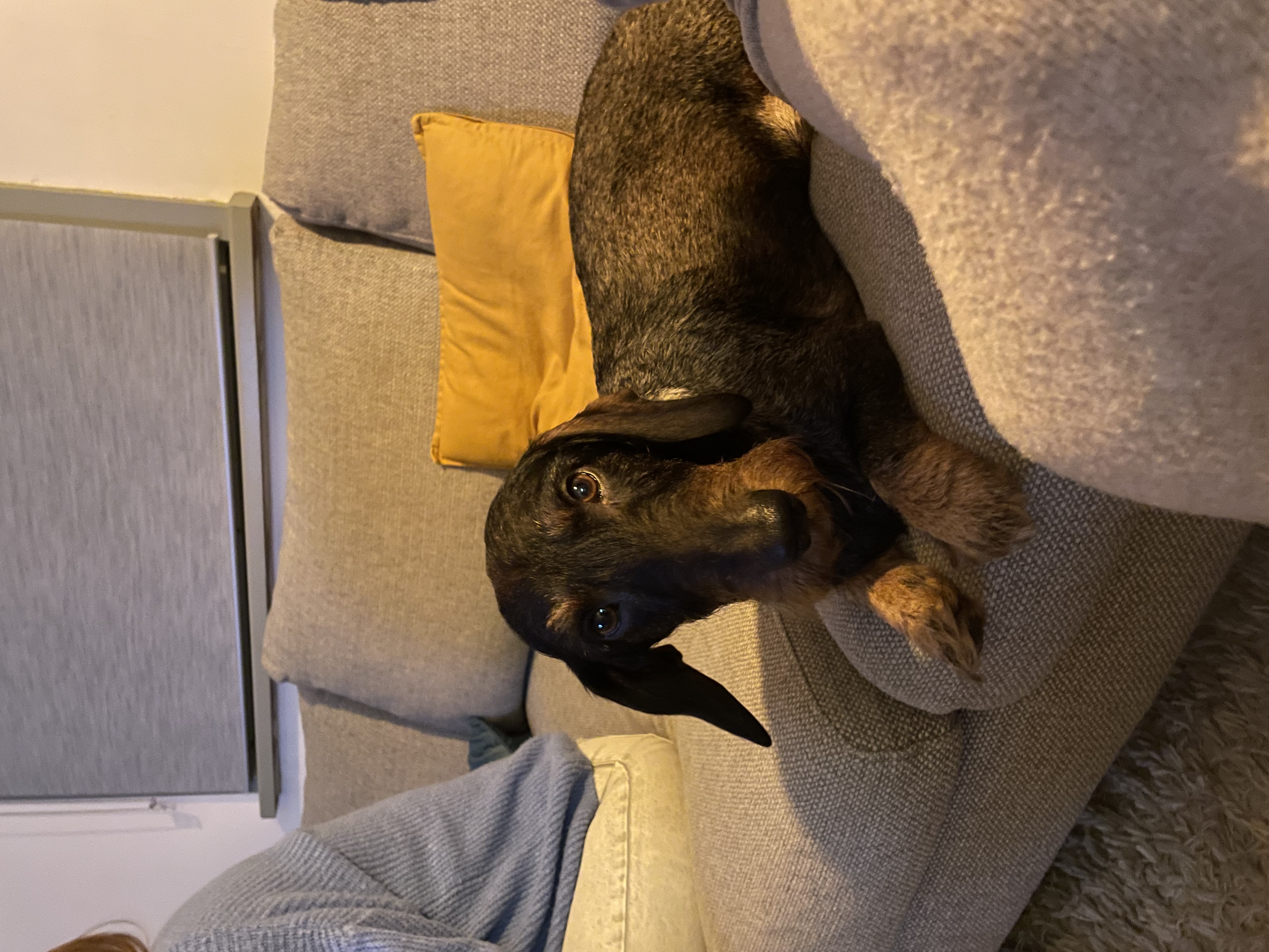 image-5