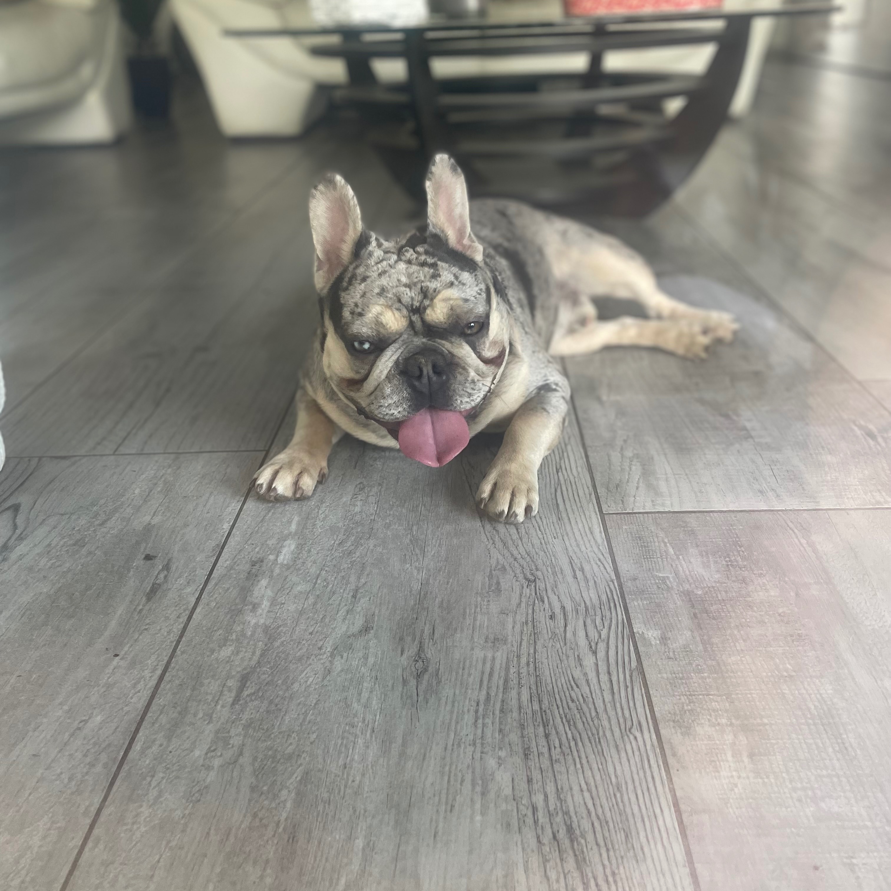 Lino