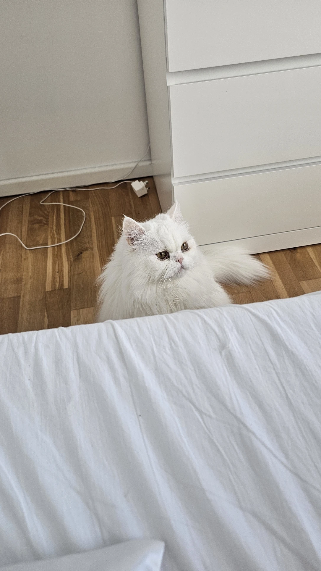 image-16
