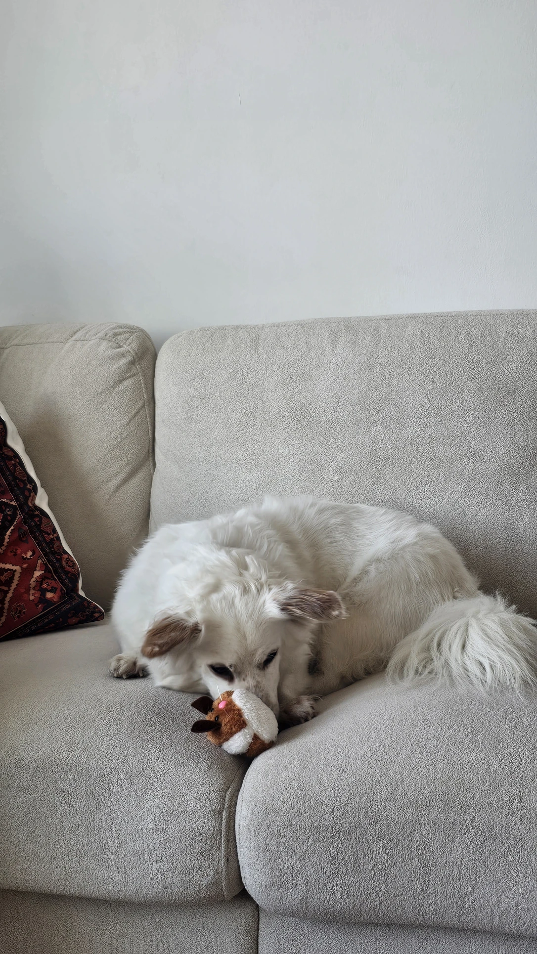 image-15