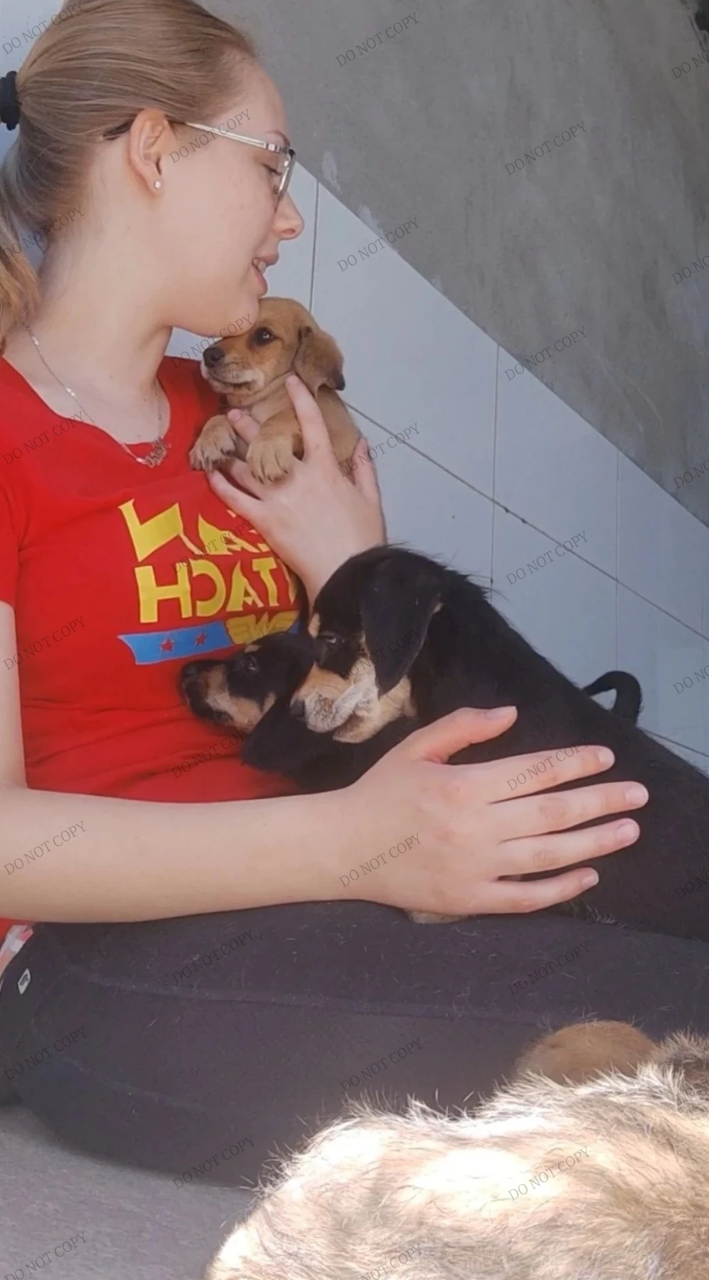 image-8