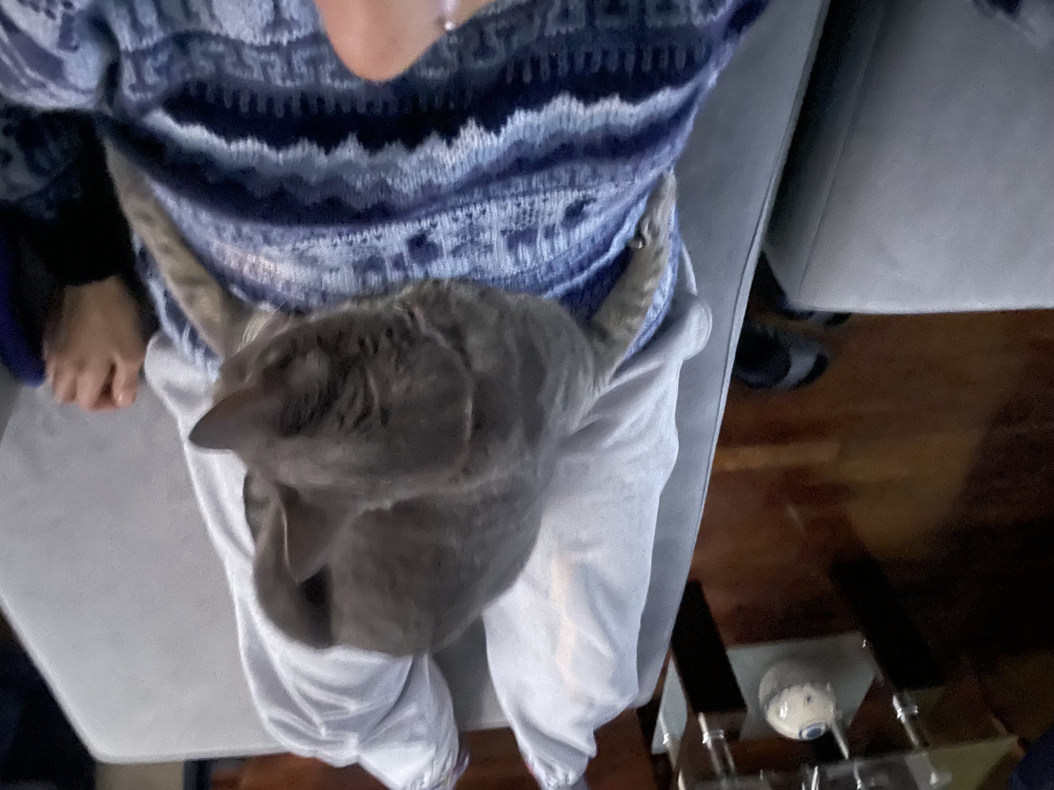 image-5