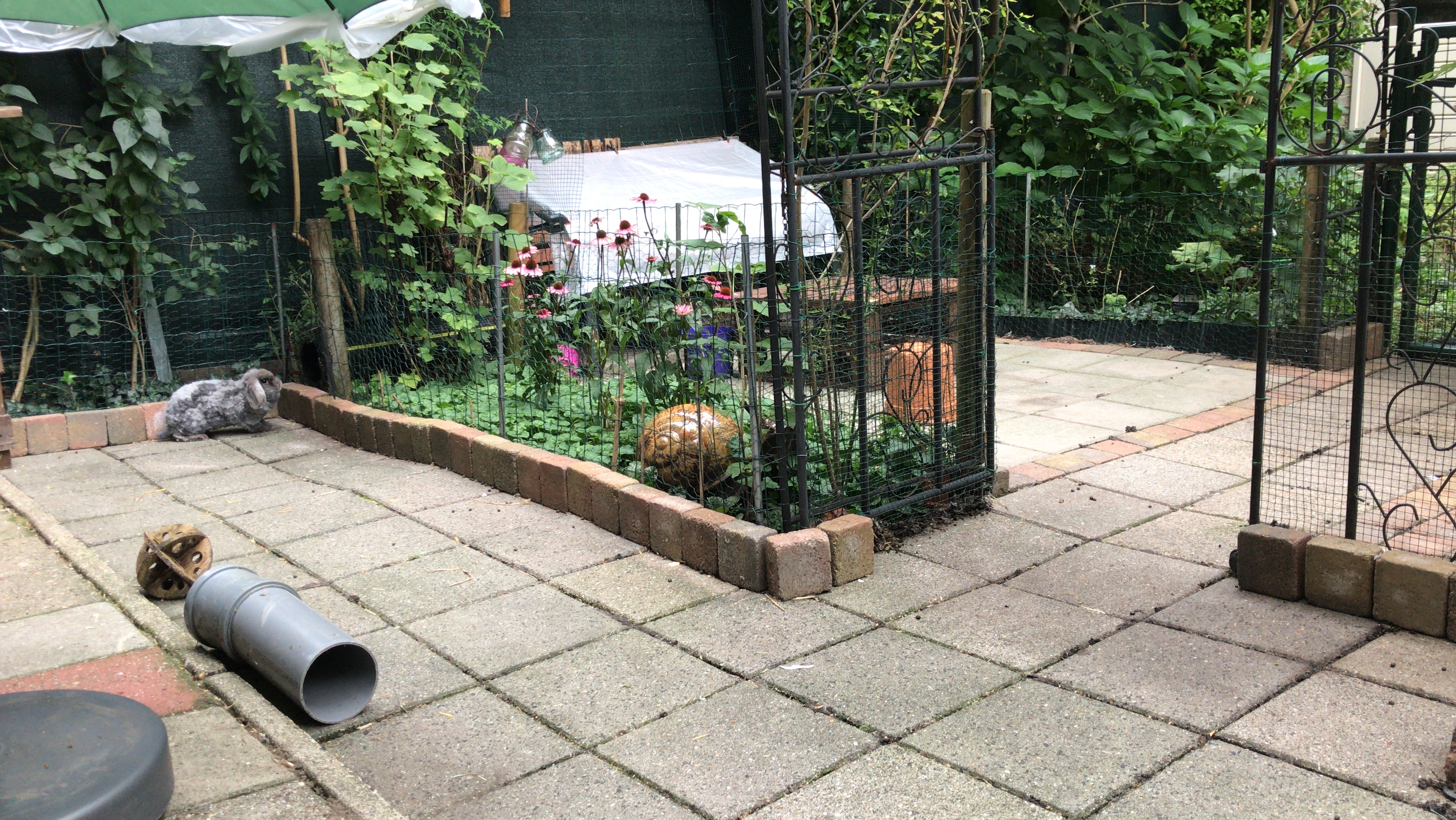 image-15