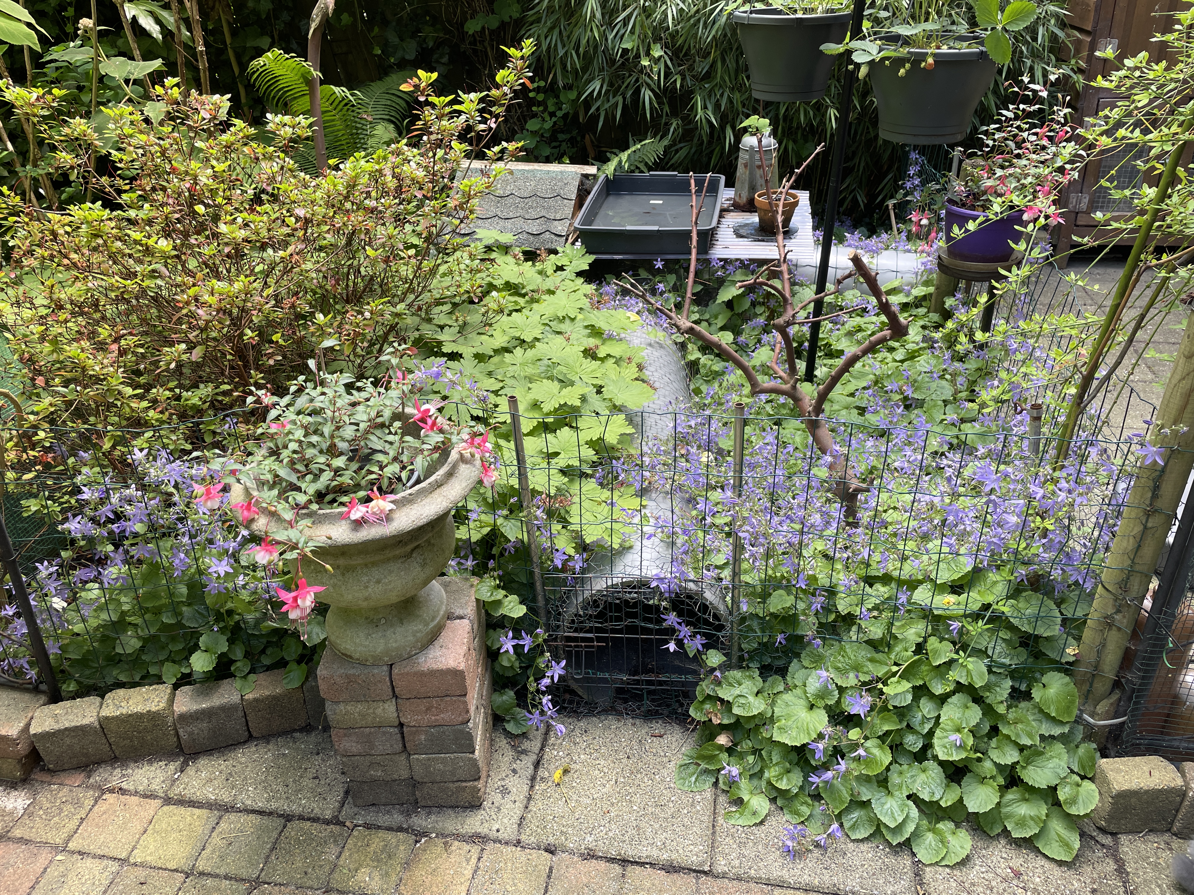 image-16