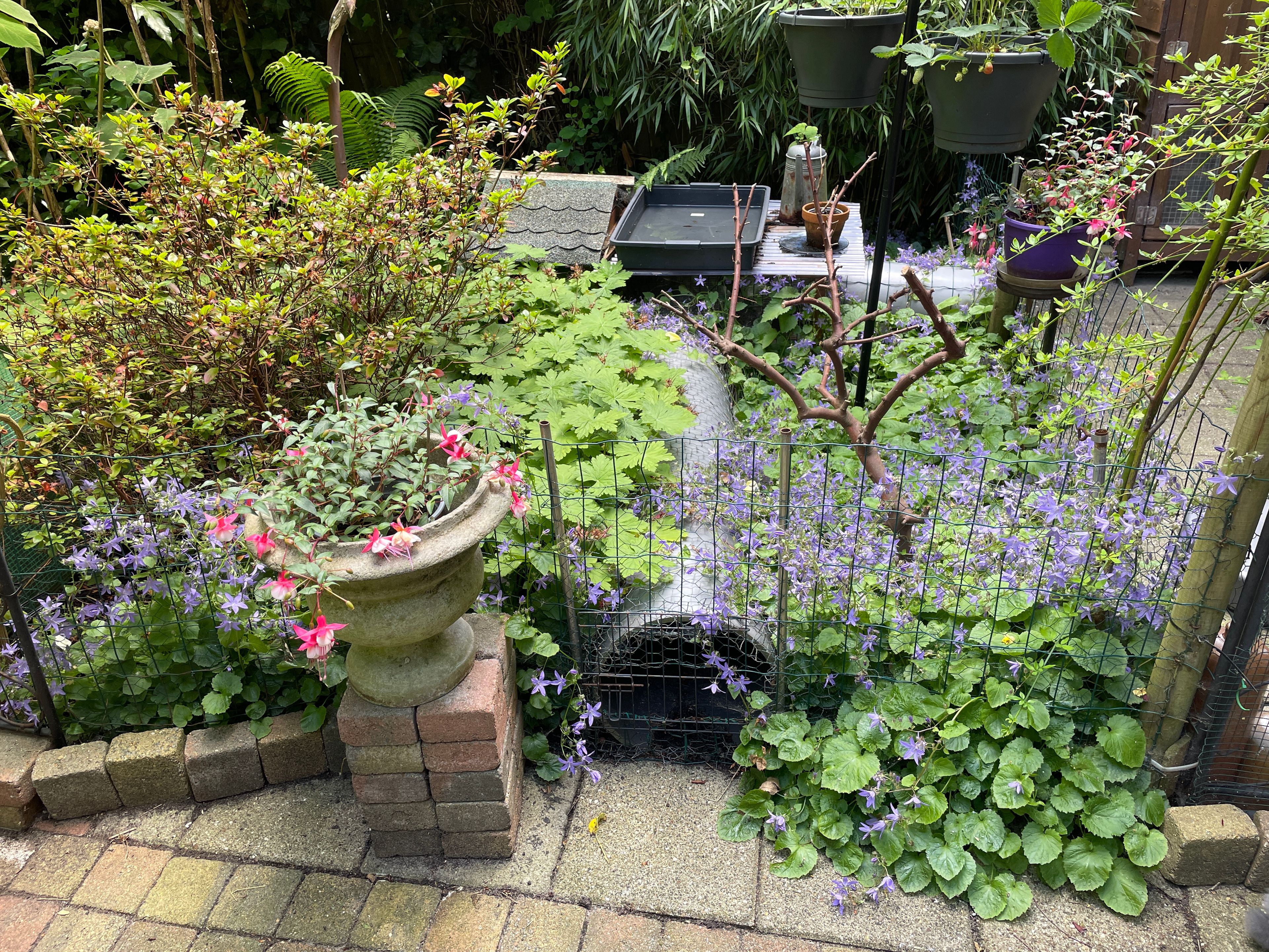 image-16