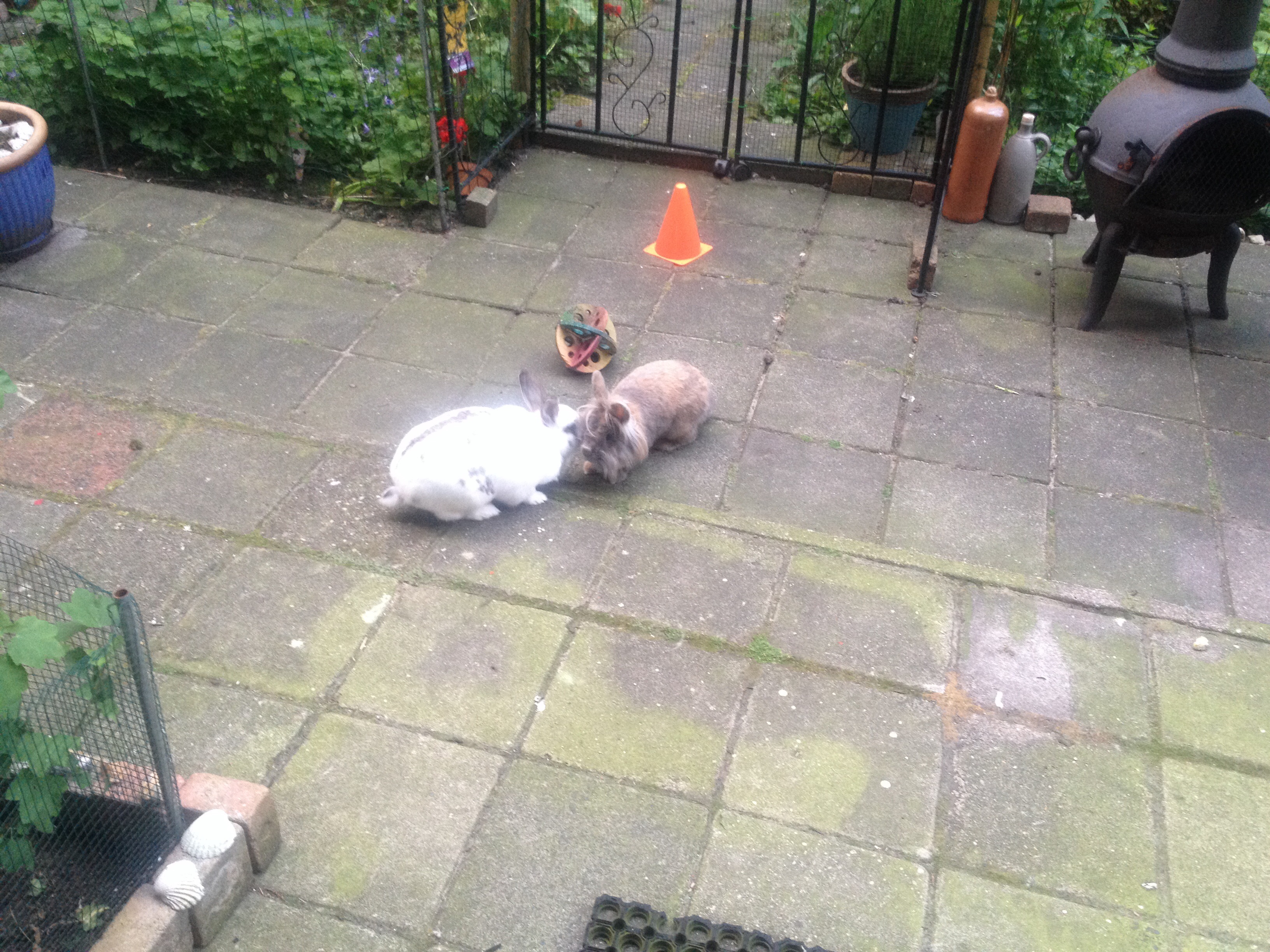 image-13