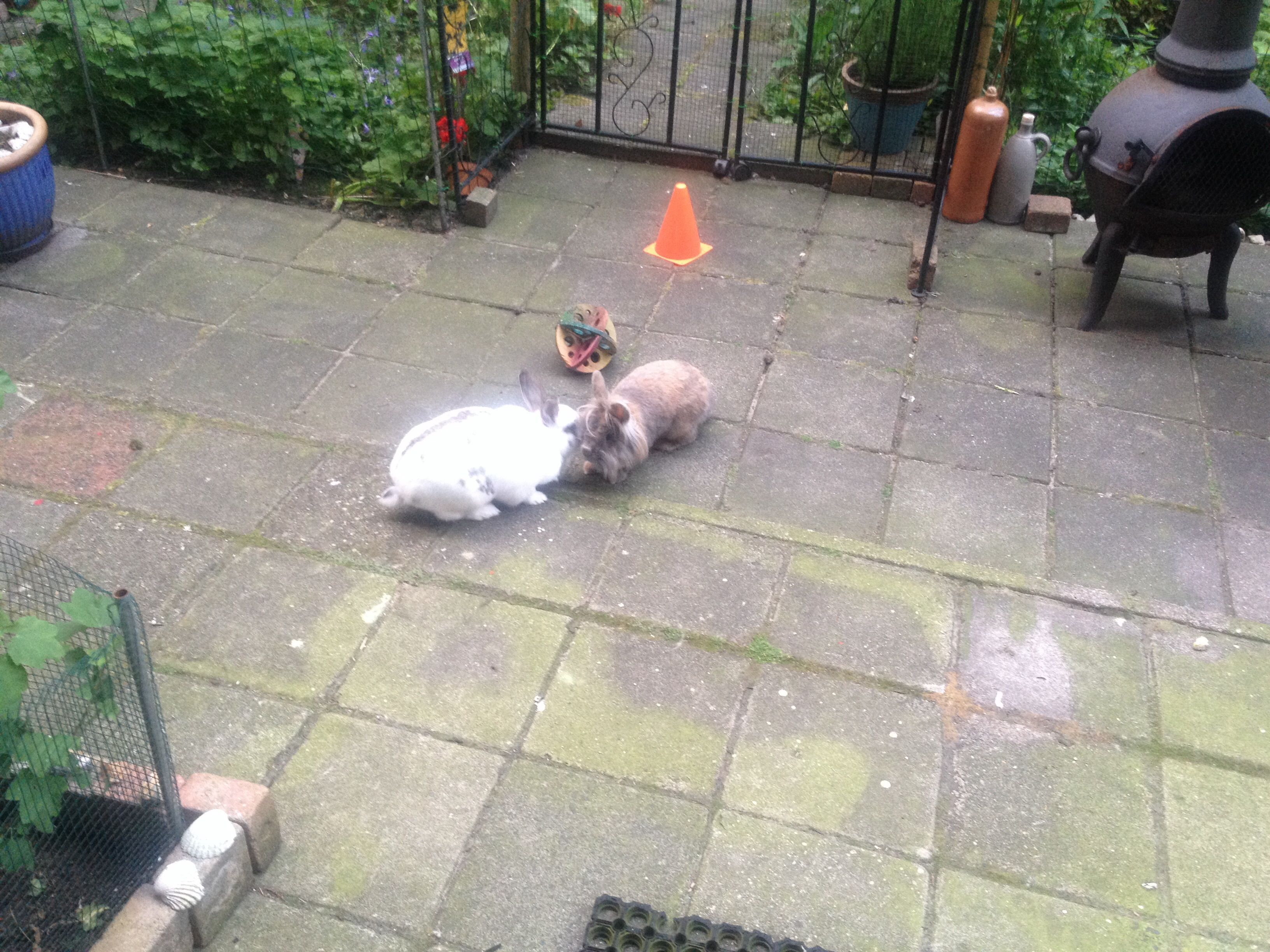 image-13