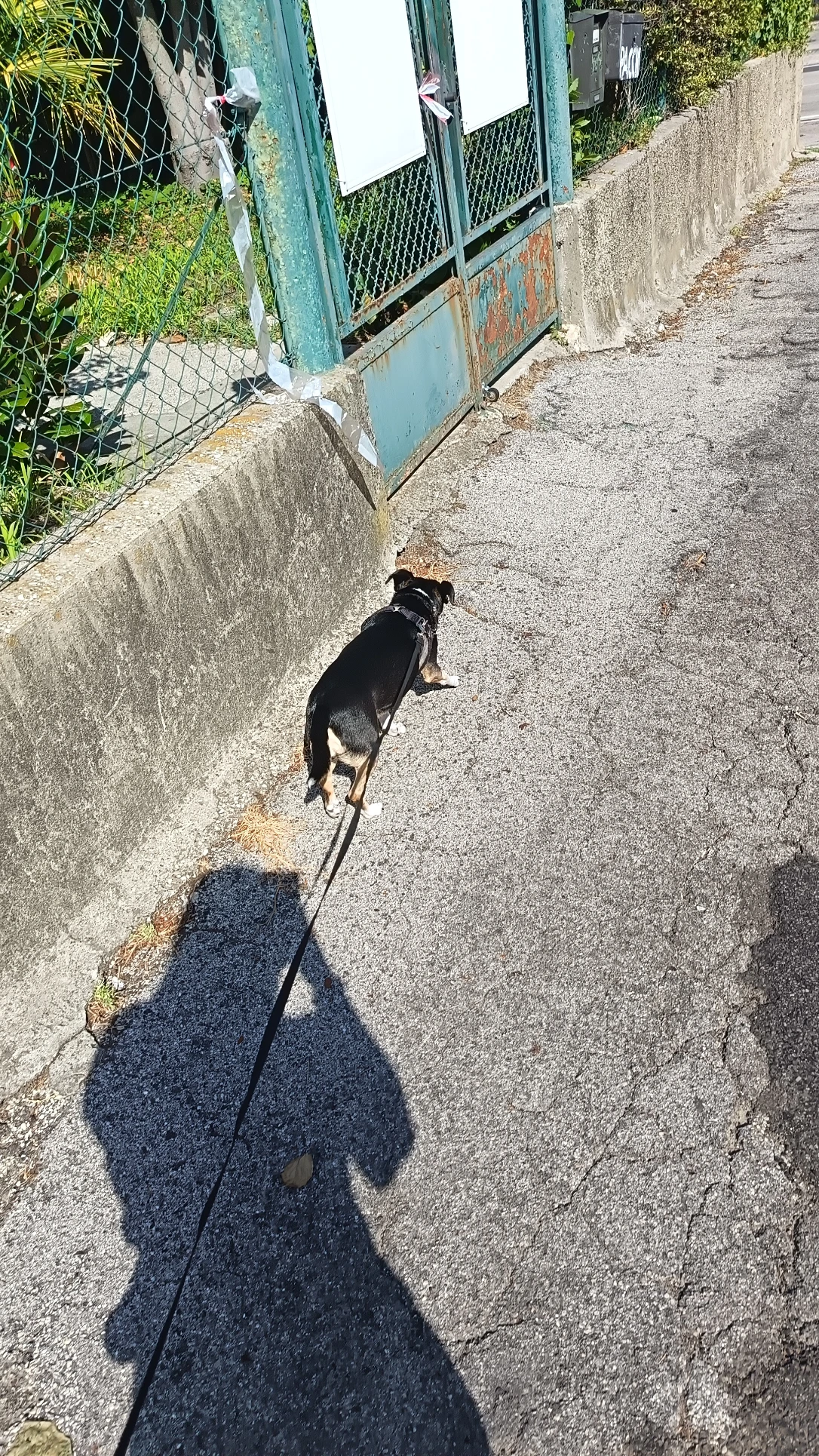 image-8