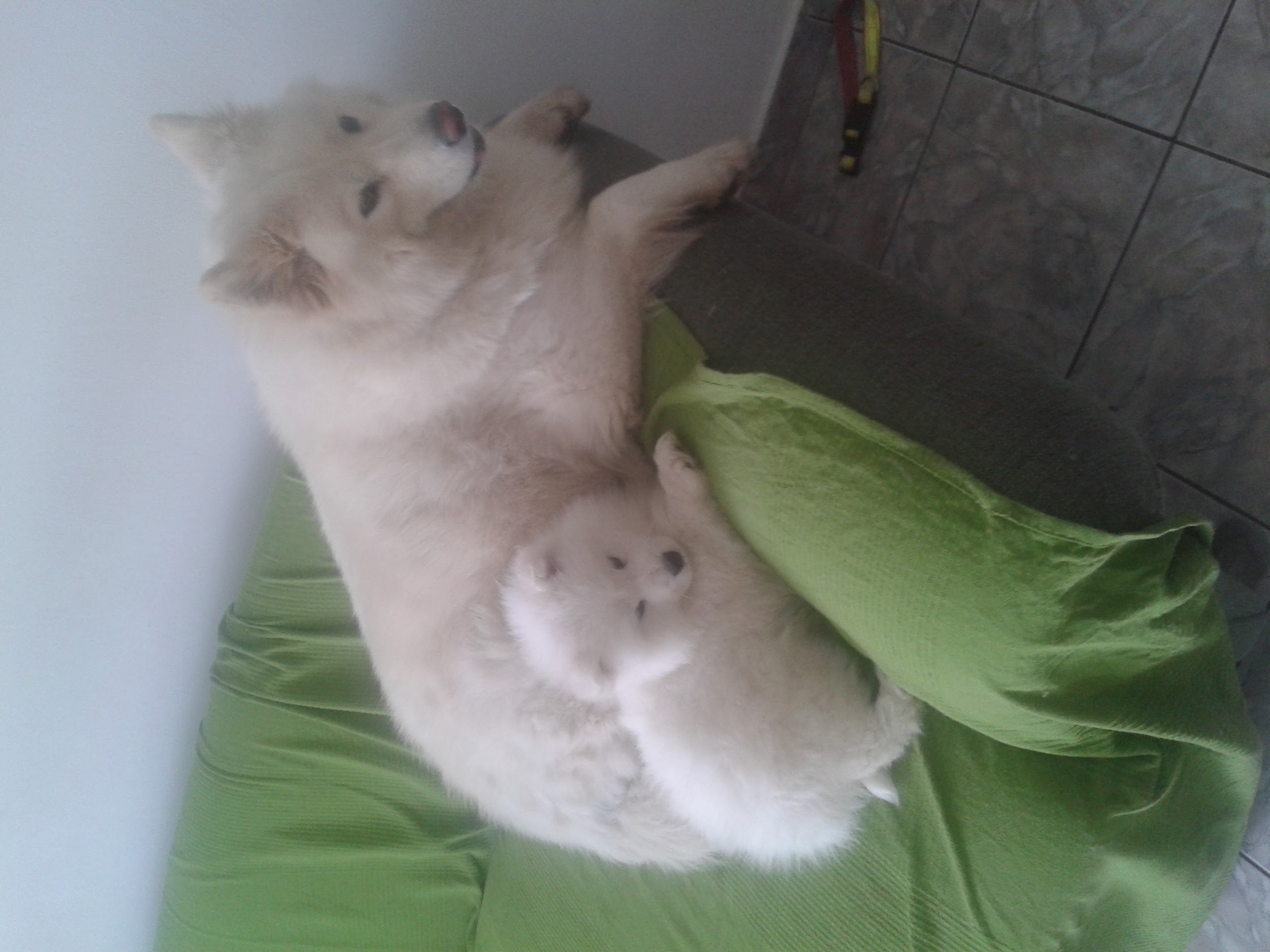image-8