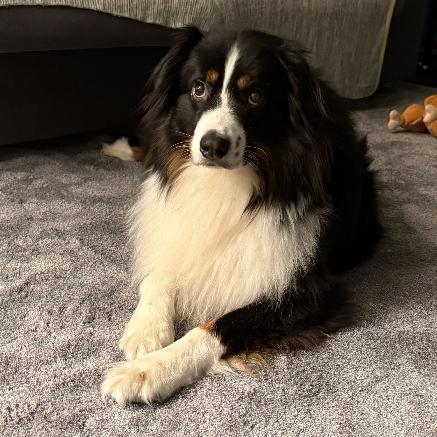 Coco