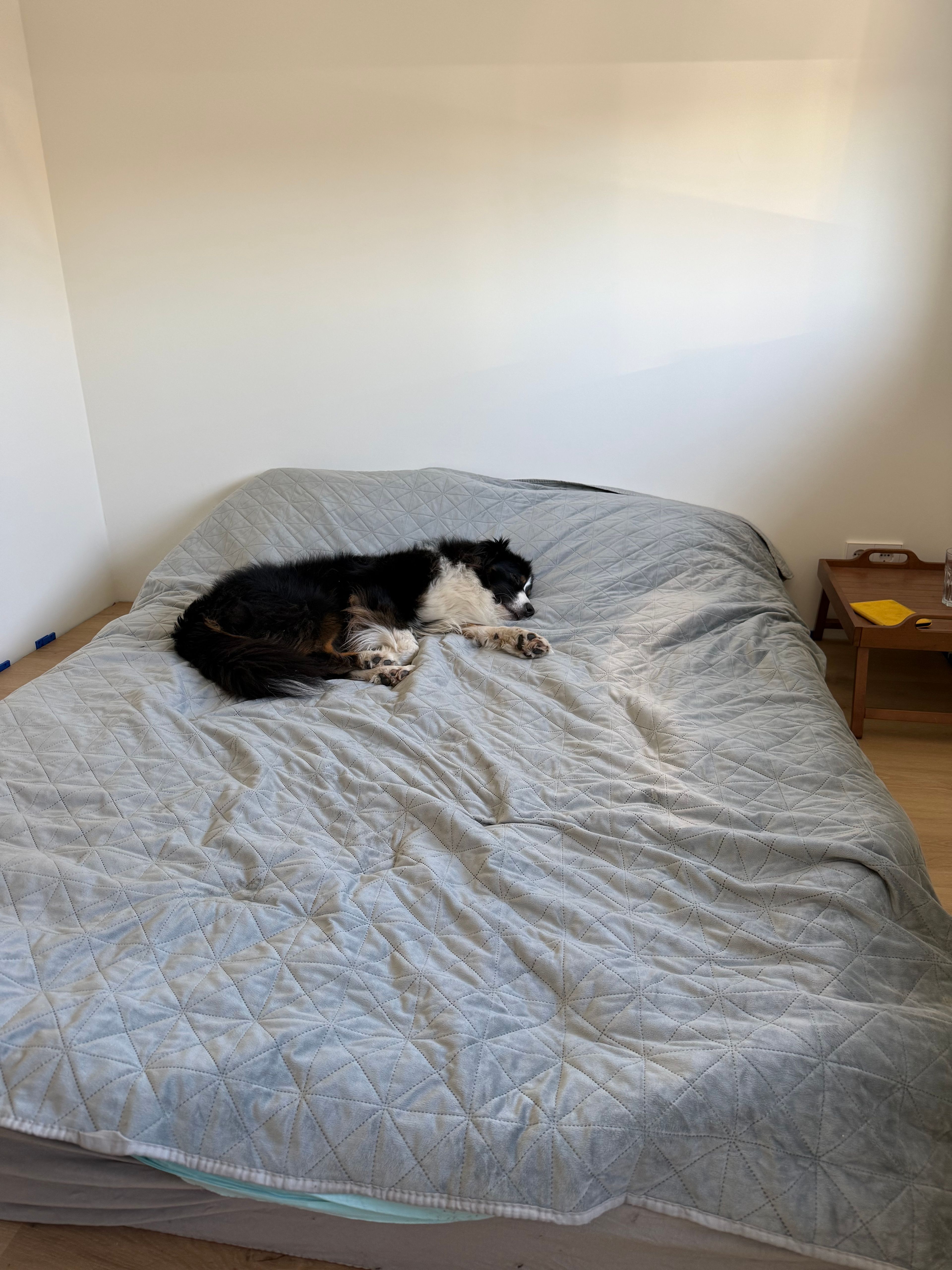 image-17