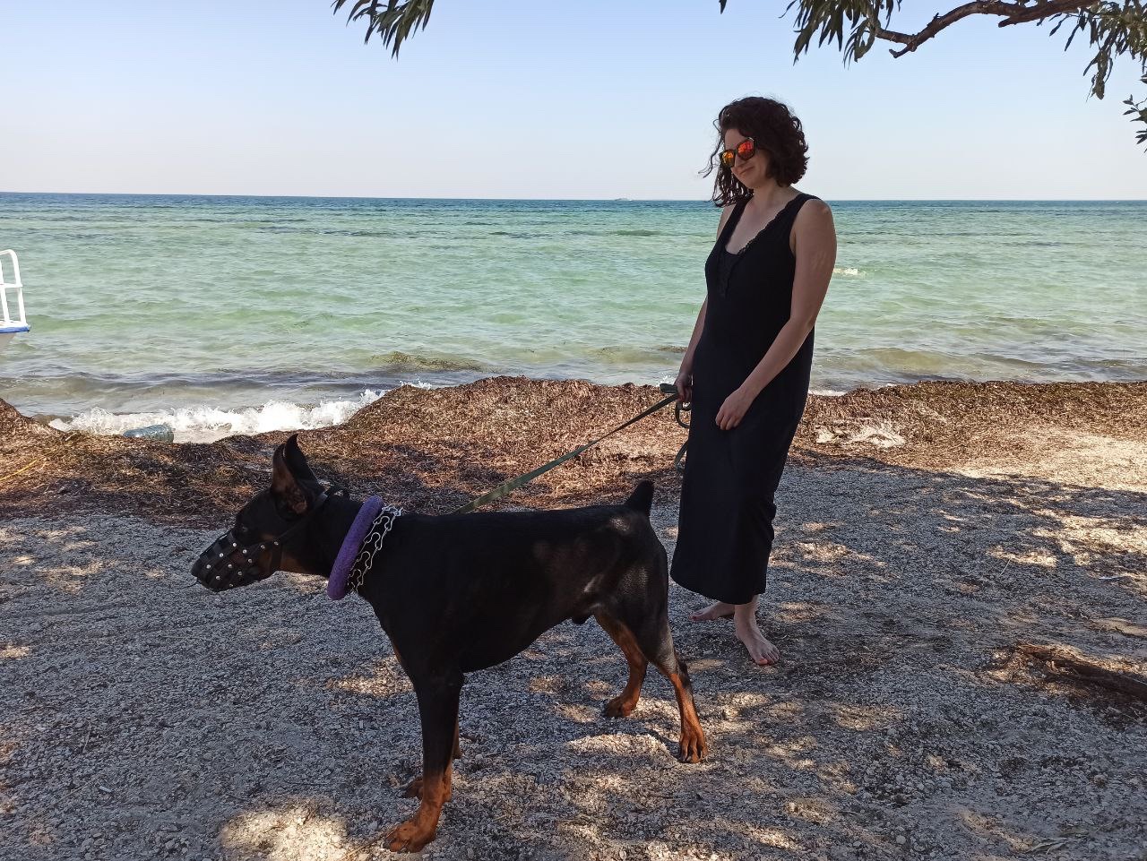 image-6