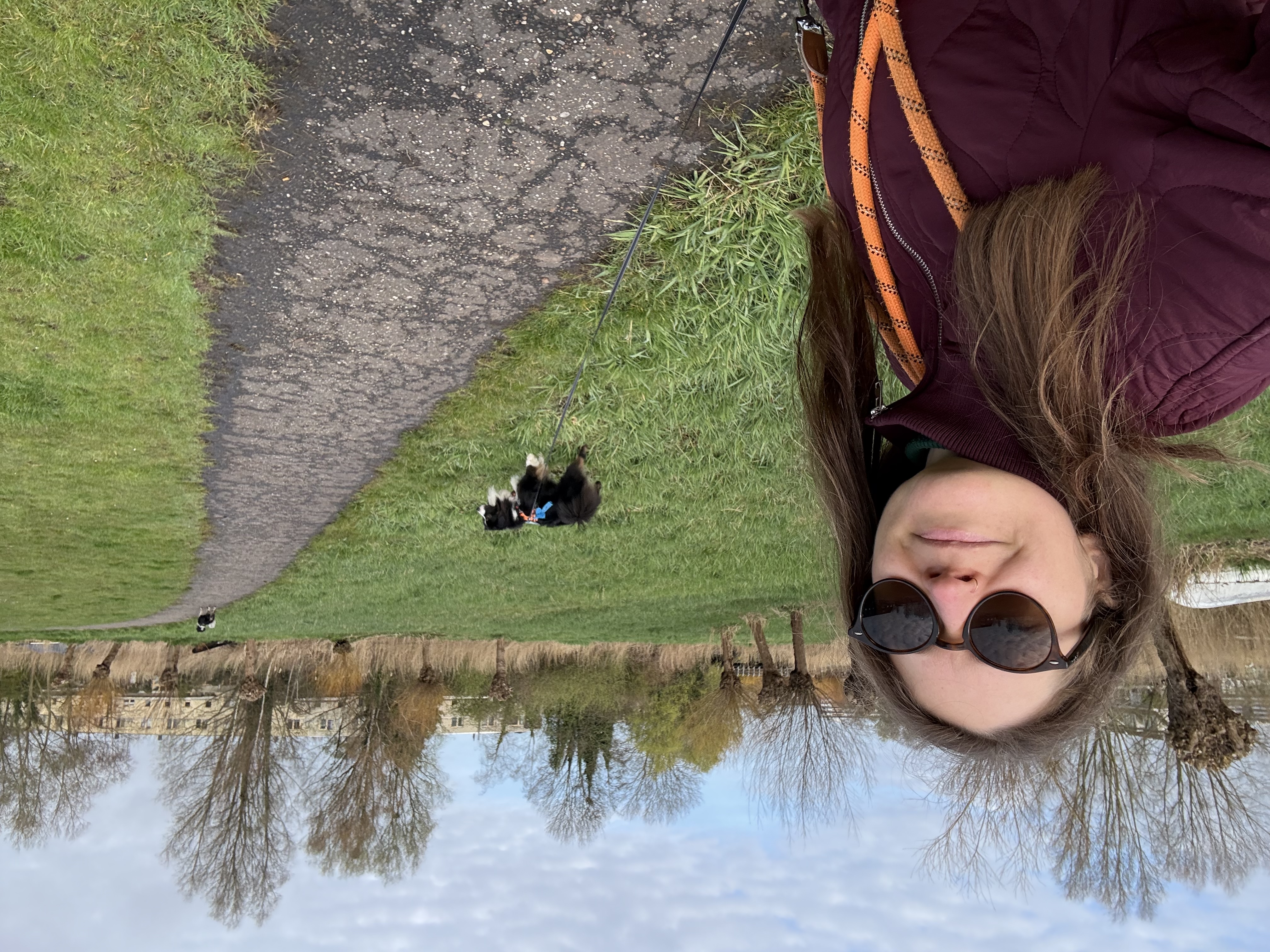image-5