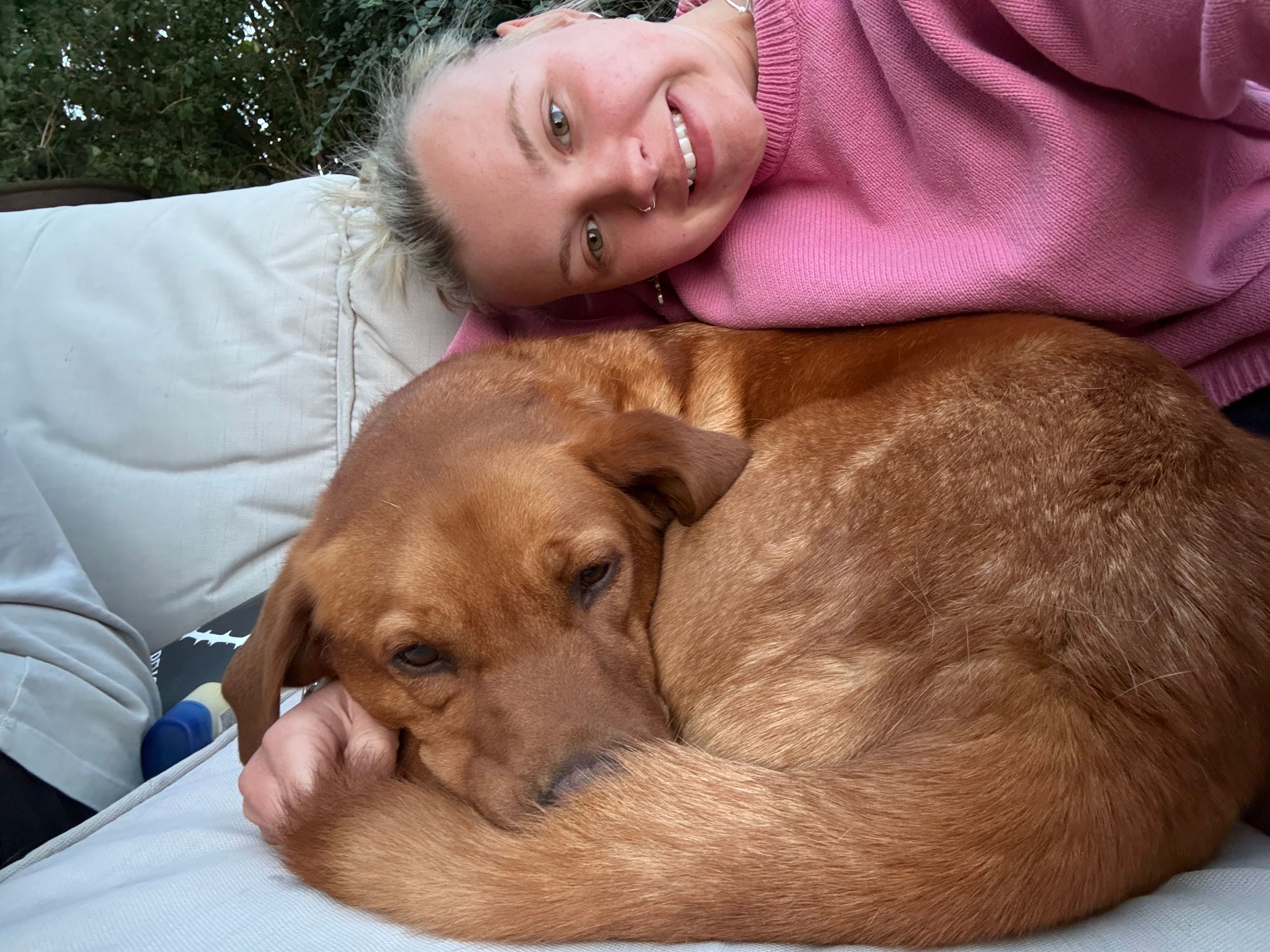 image-0