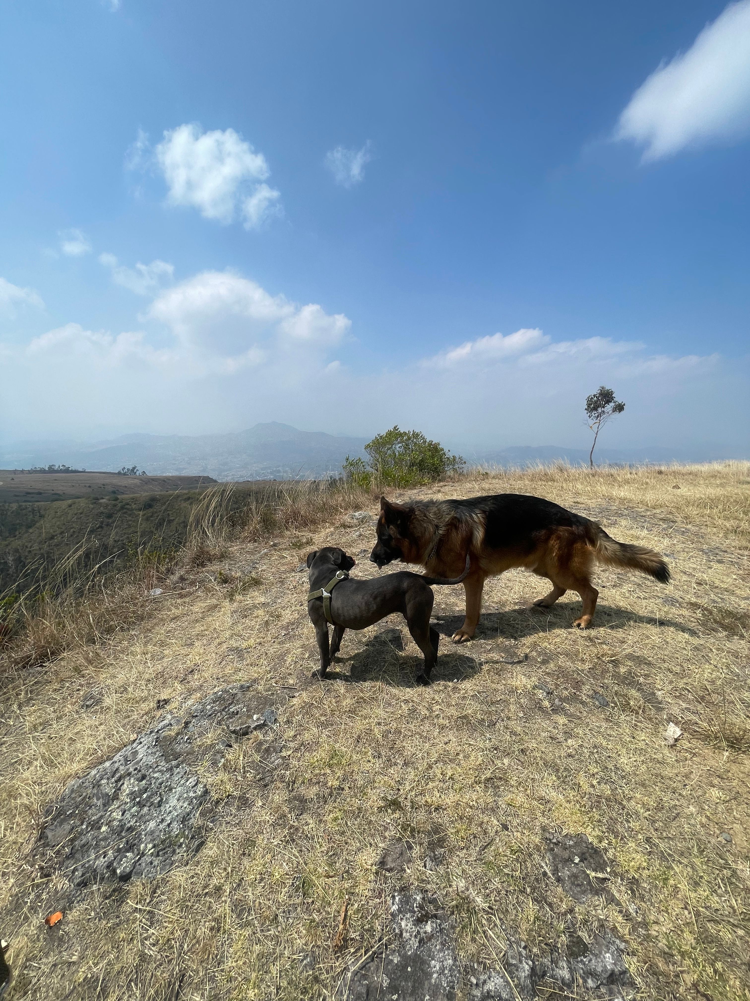 image-6