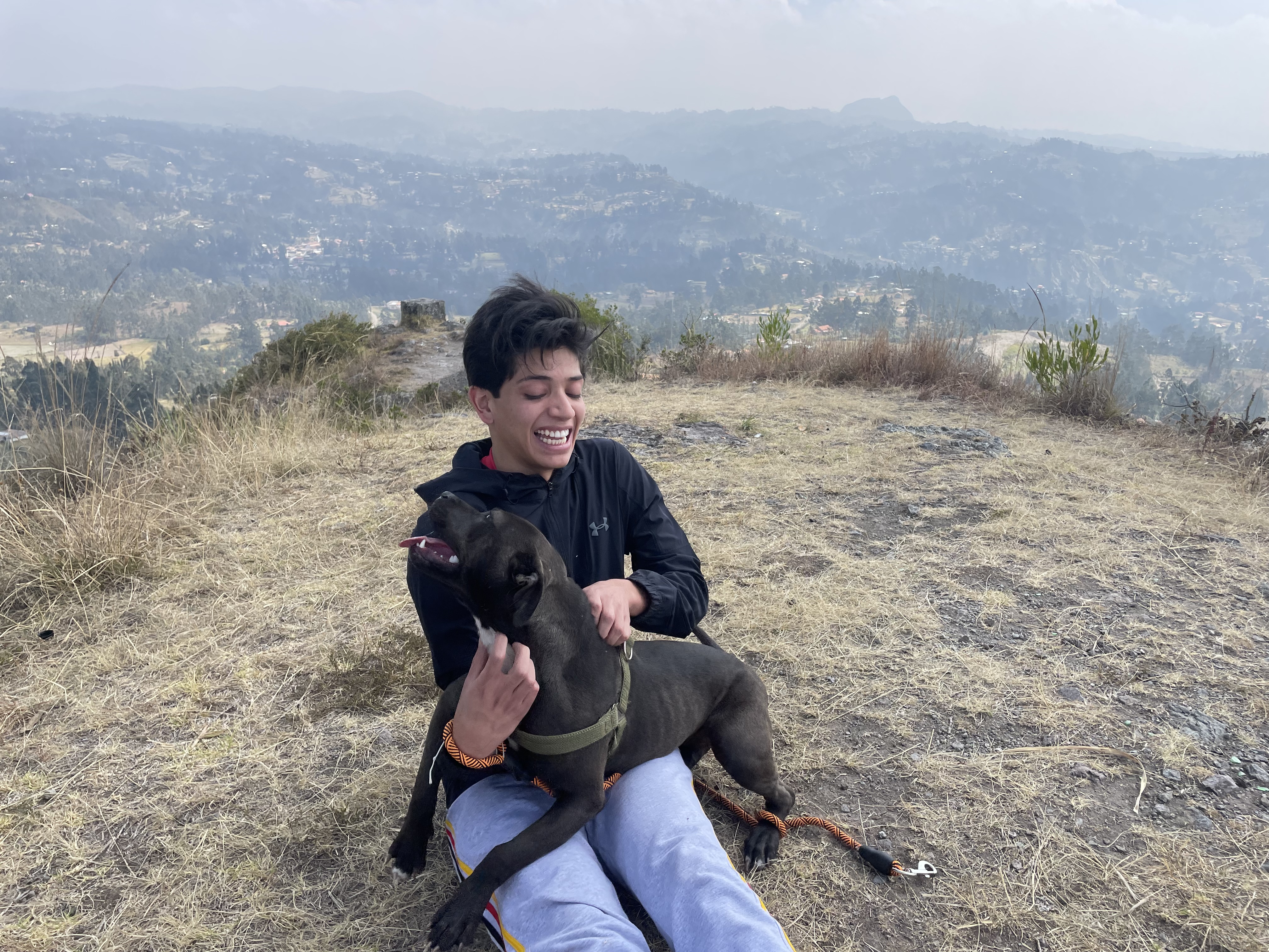 image-2
