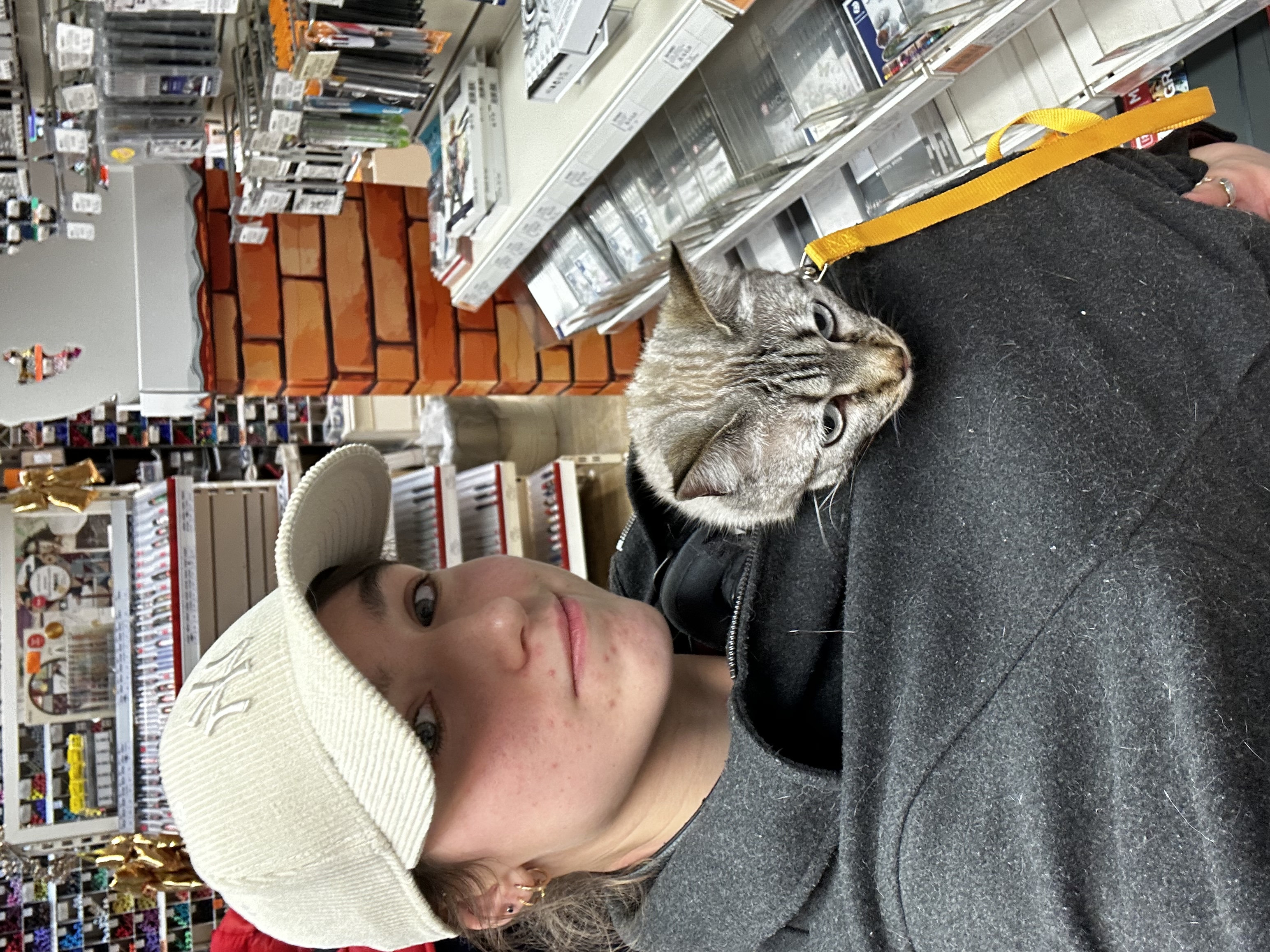 image-7