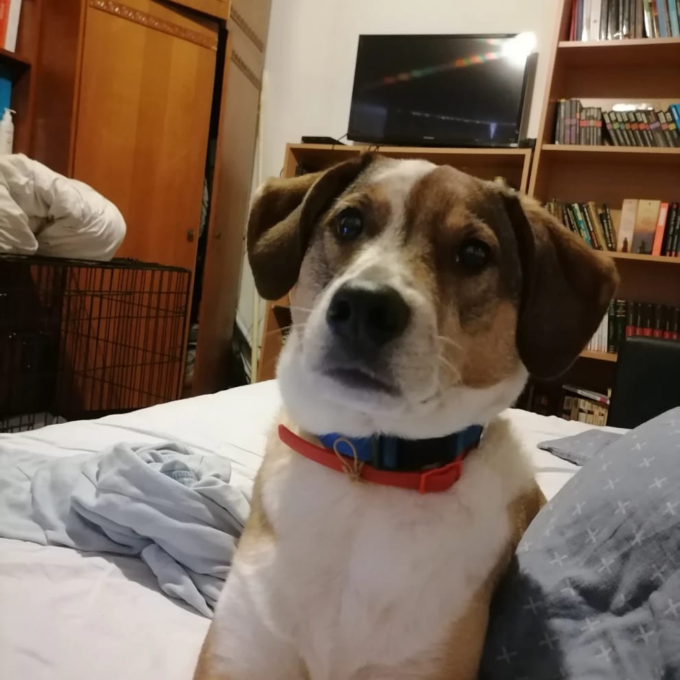 Tyson