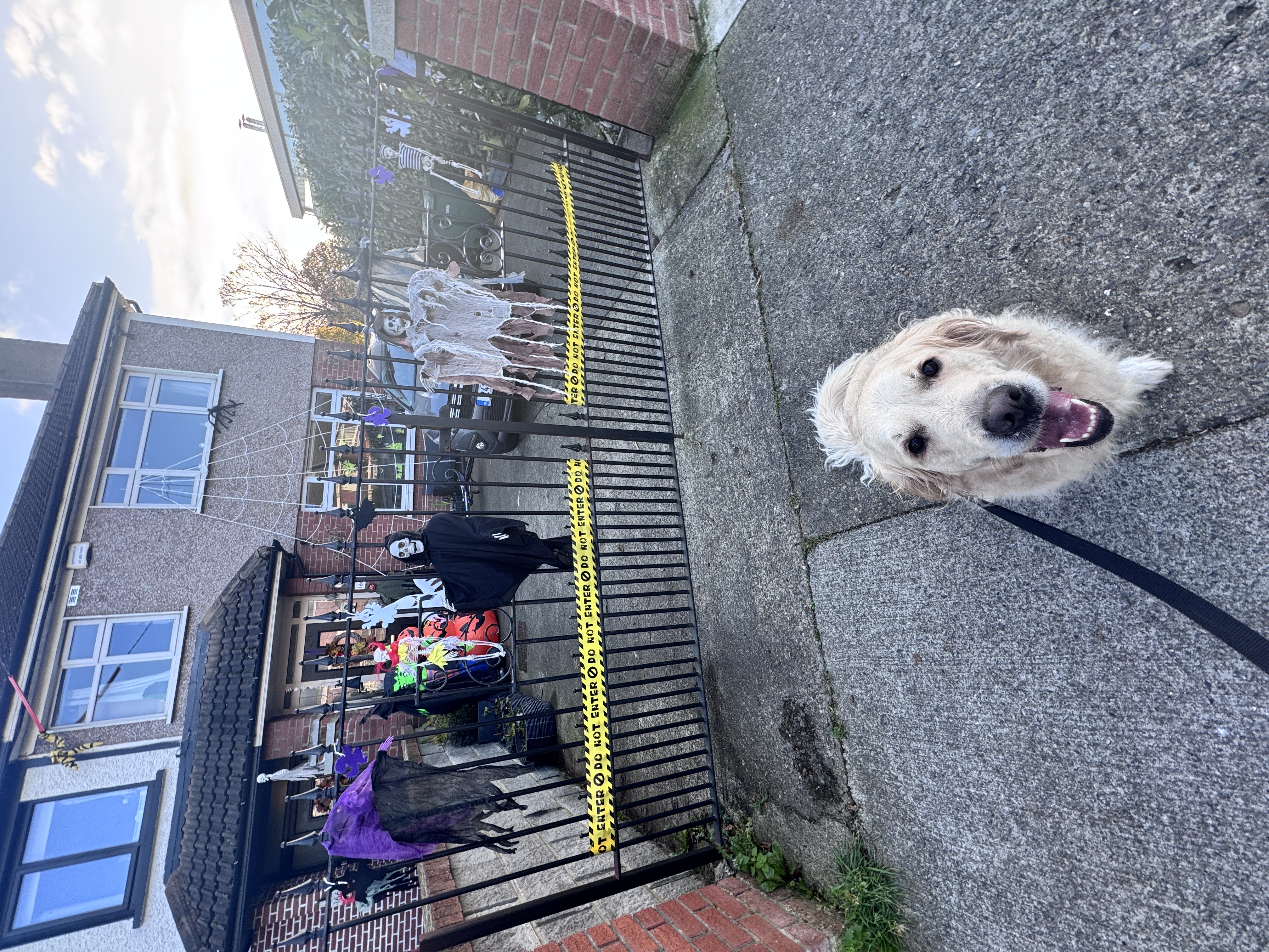 image-36