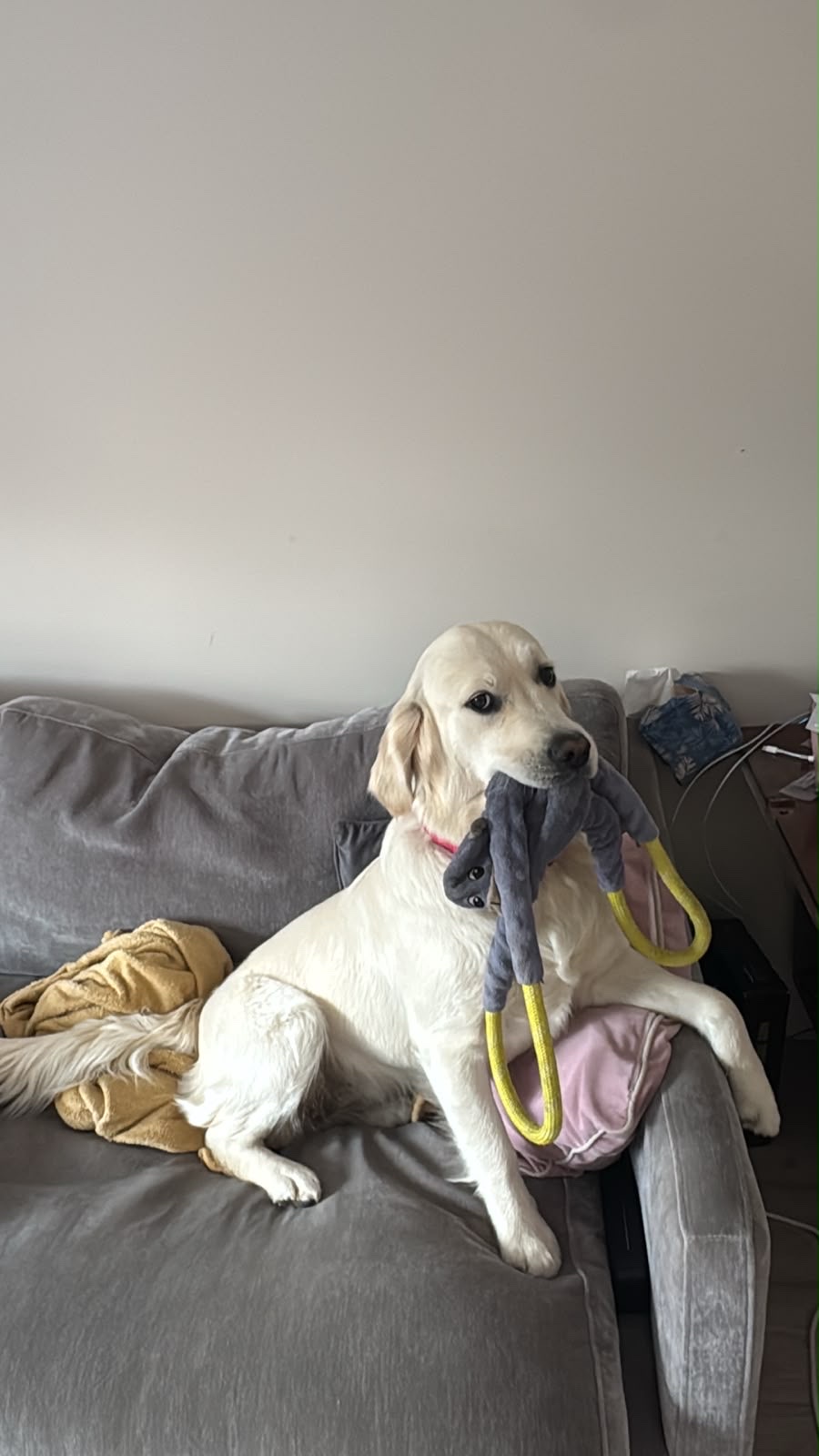 image-52