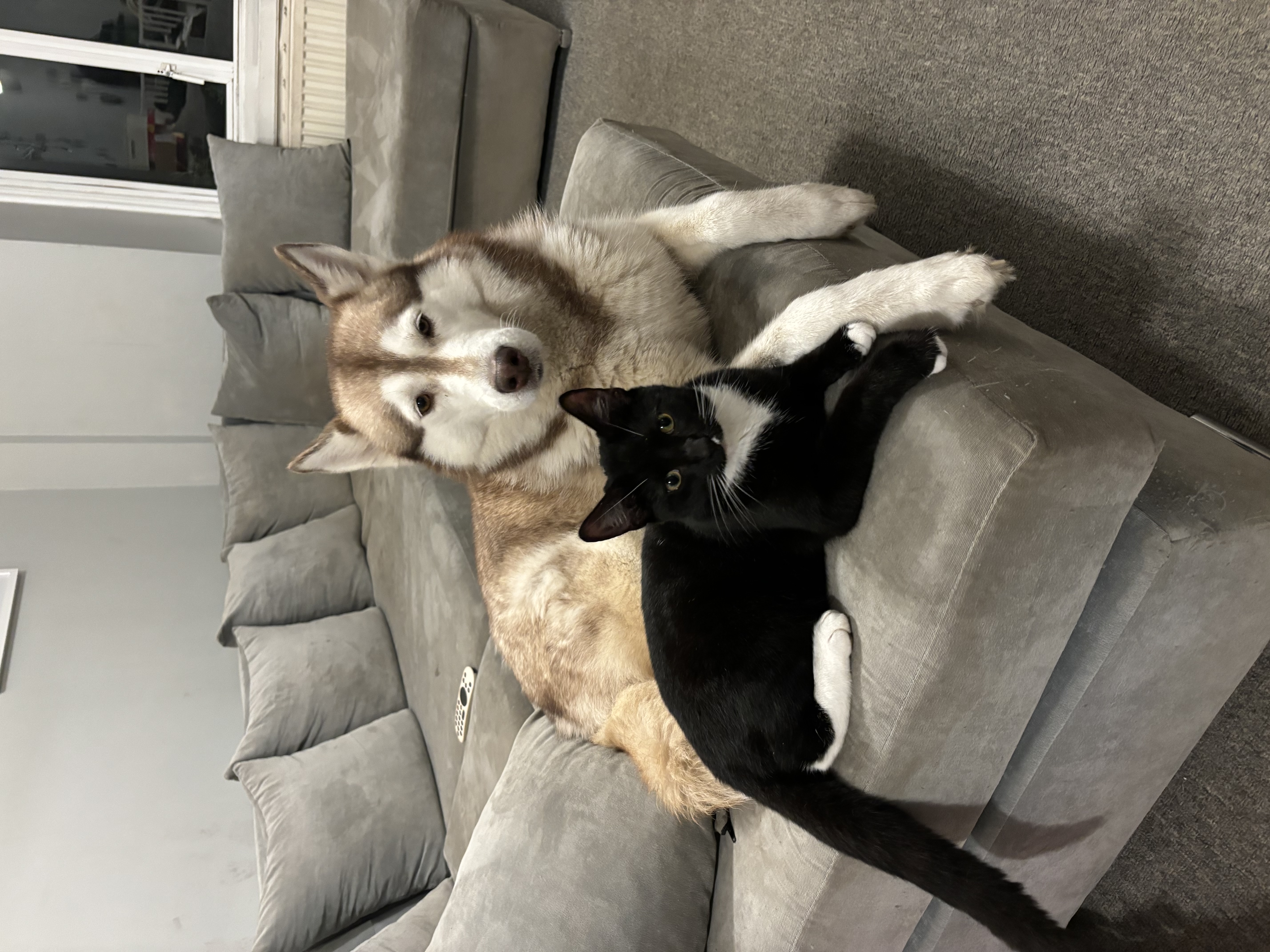 image-6
