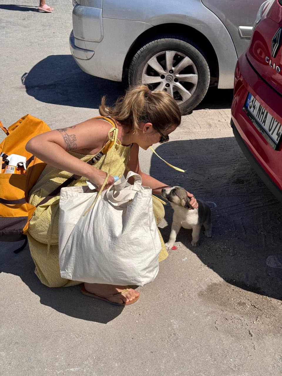 image-3