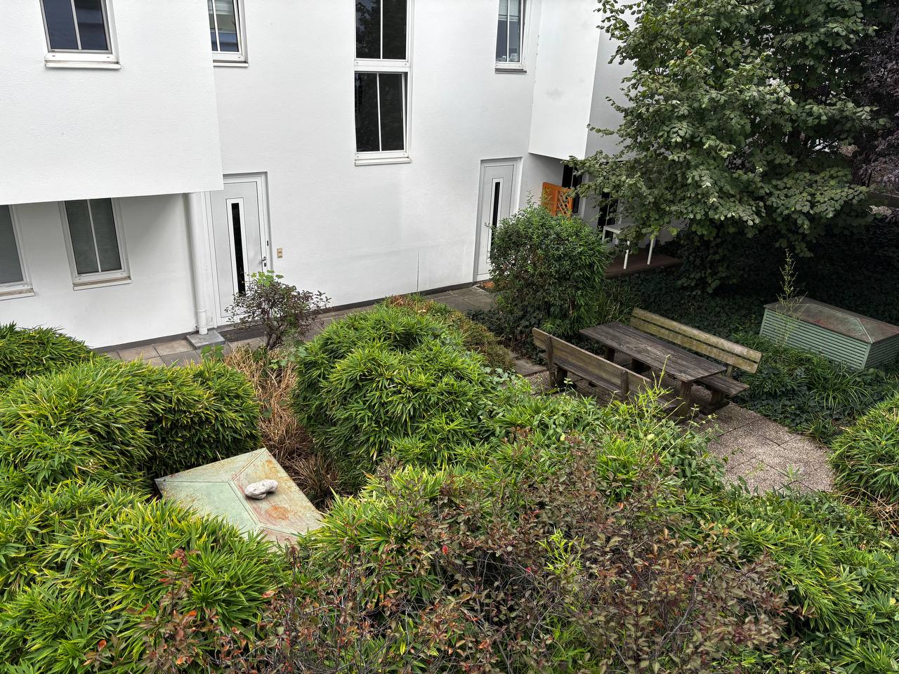 image-6