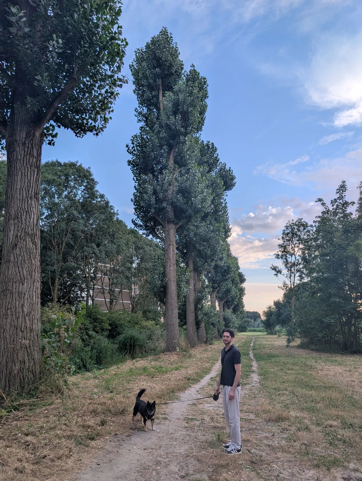 image-11