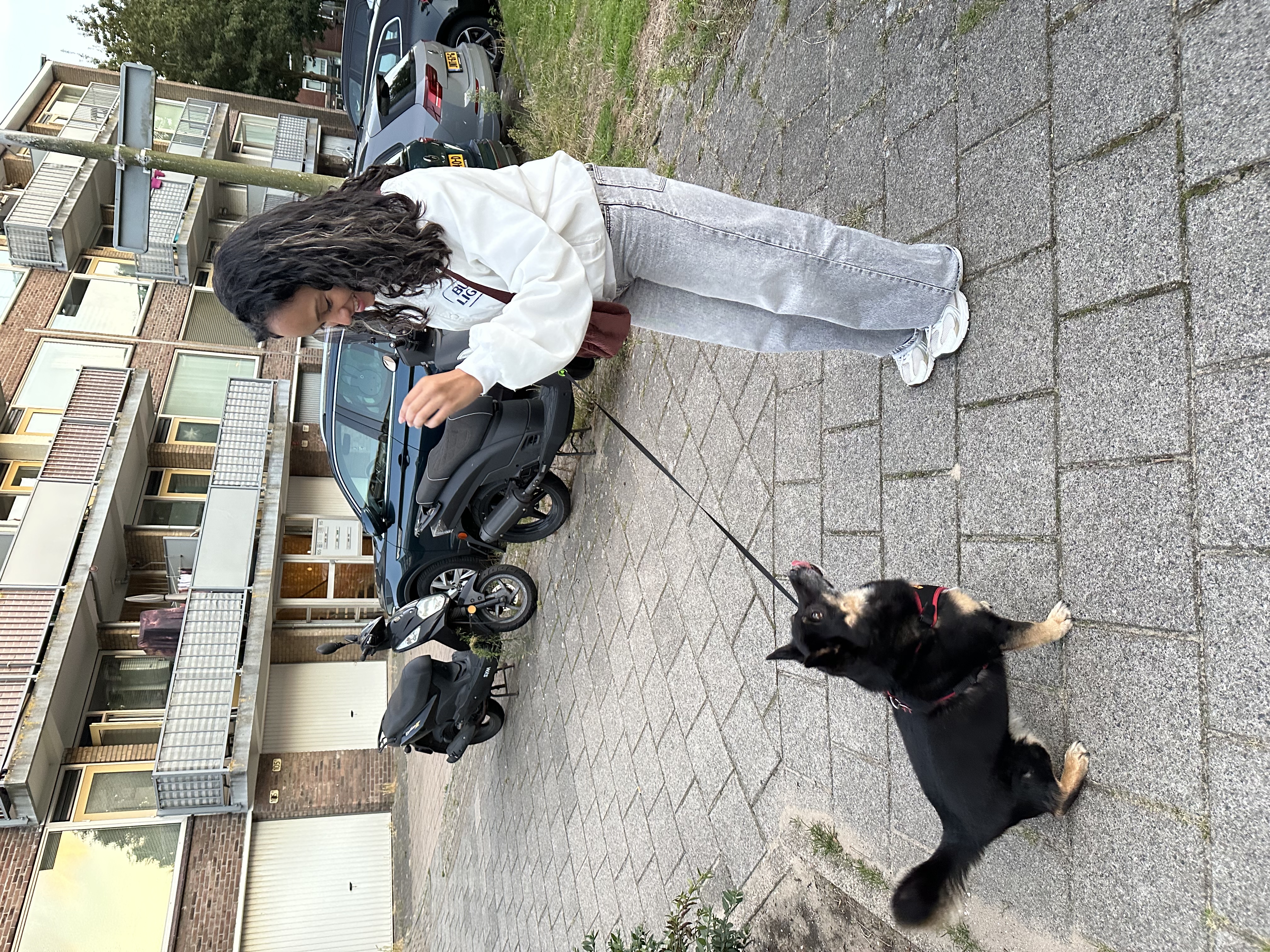 image-14