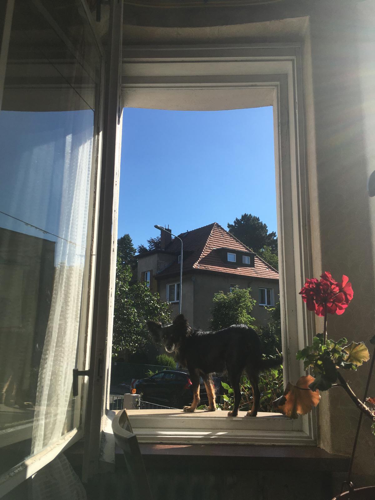 image-6