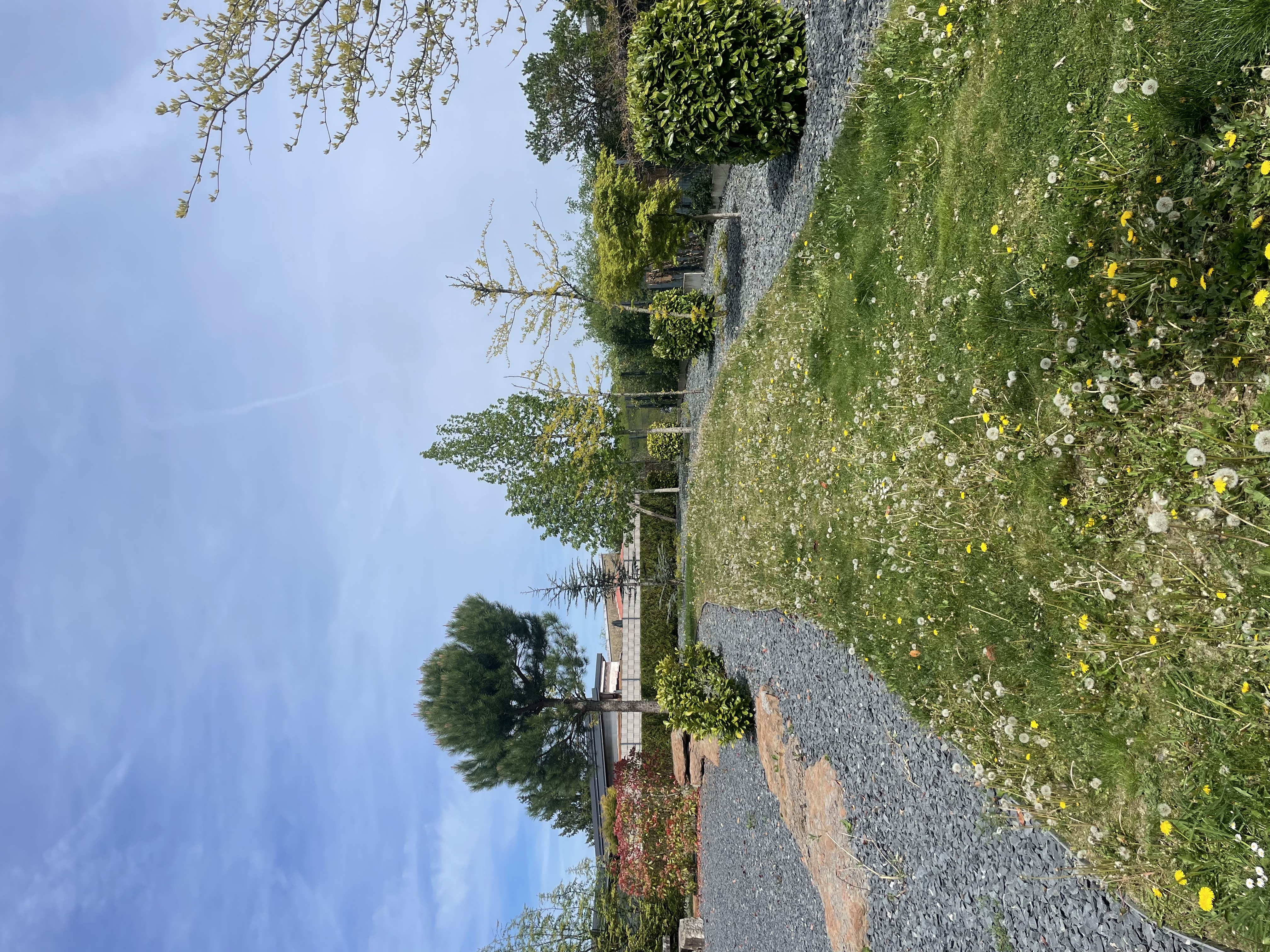 image-18