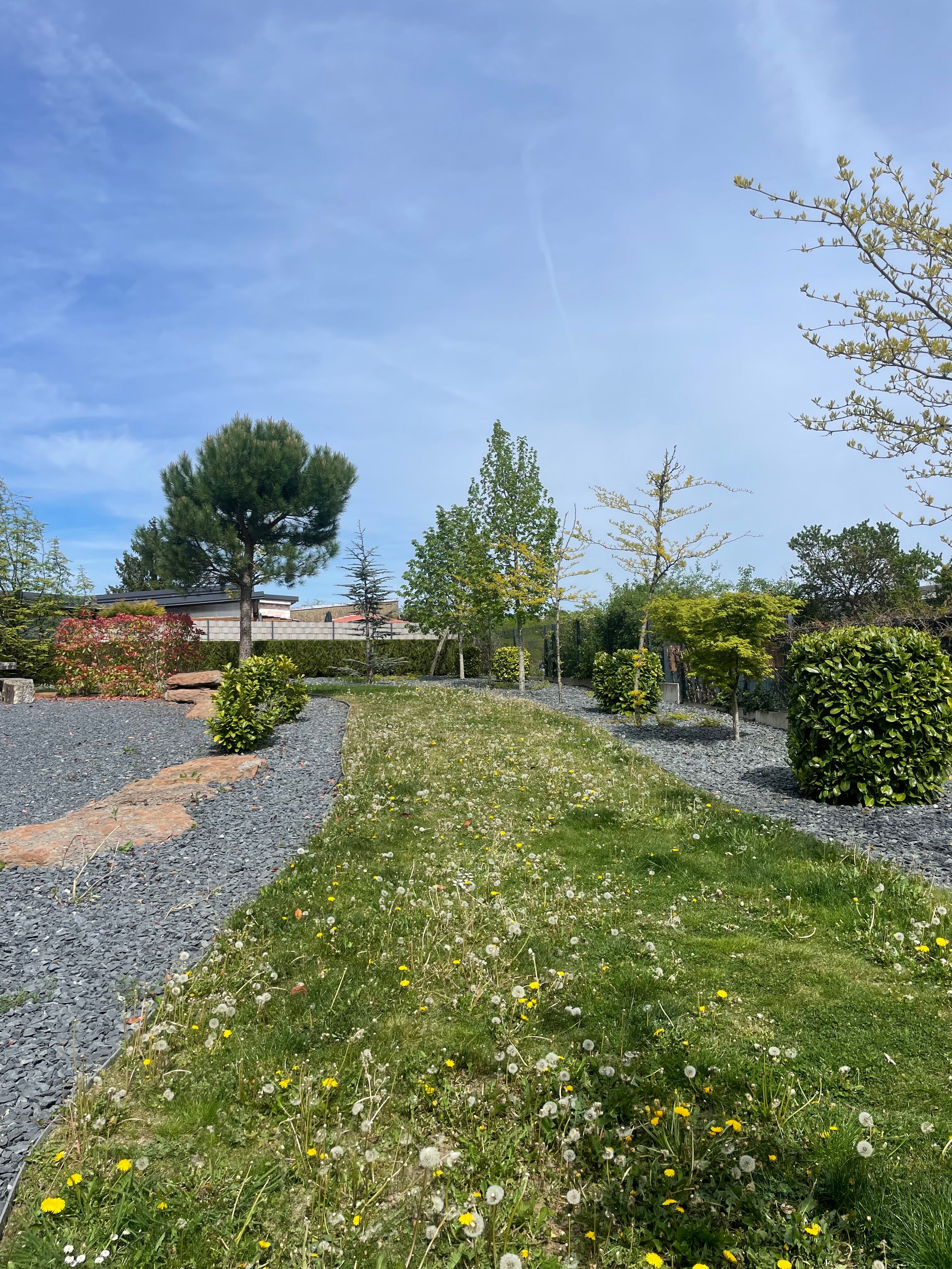 image-18