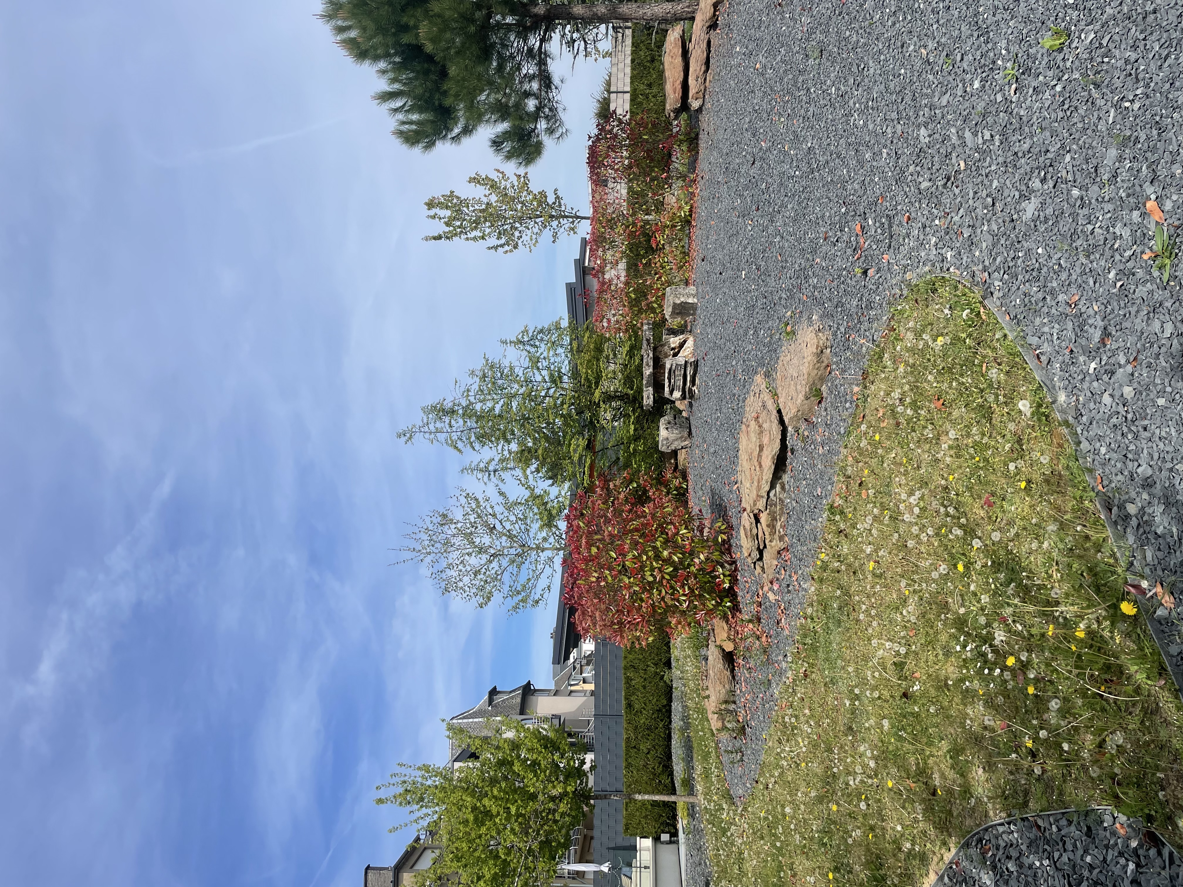 image-19